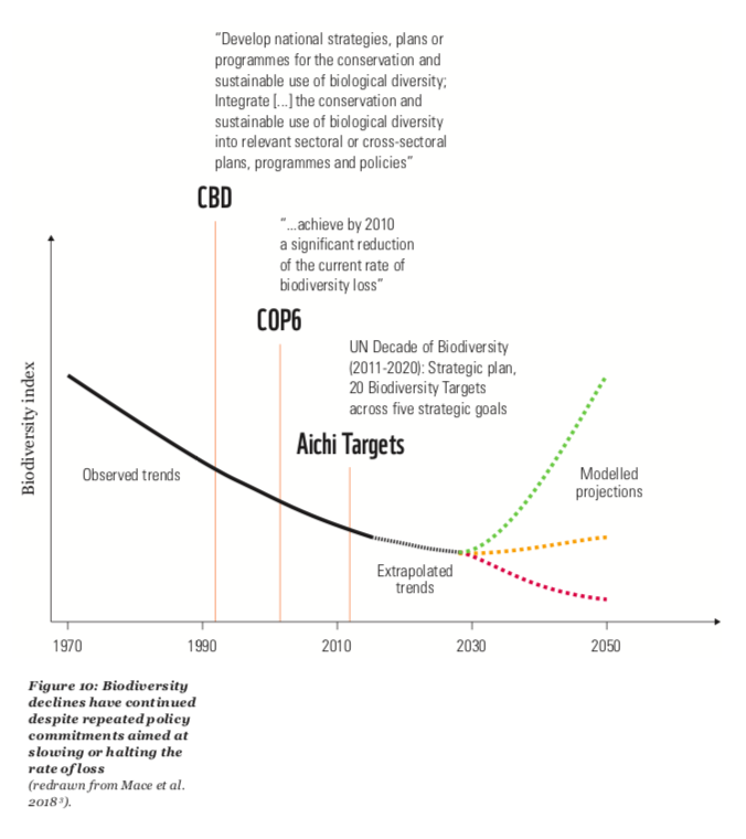 WWF’s biodiversity Index shows not the slightest inflection after each global conference.
