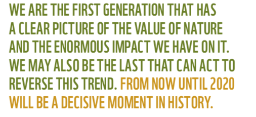 Another view of the elephant. Conclusion to WWF’s Living Planet Report.