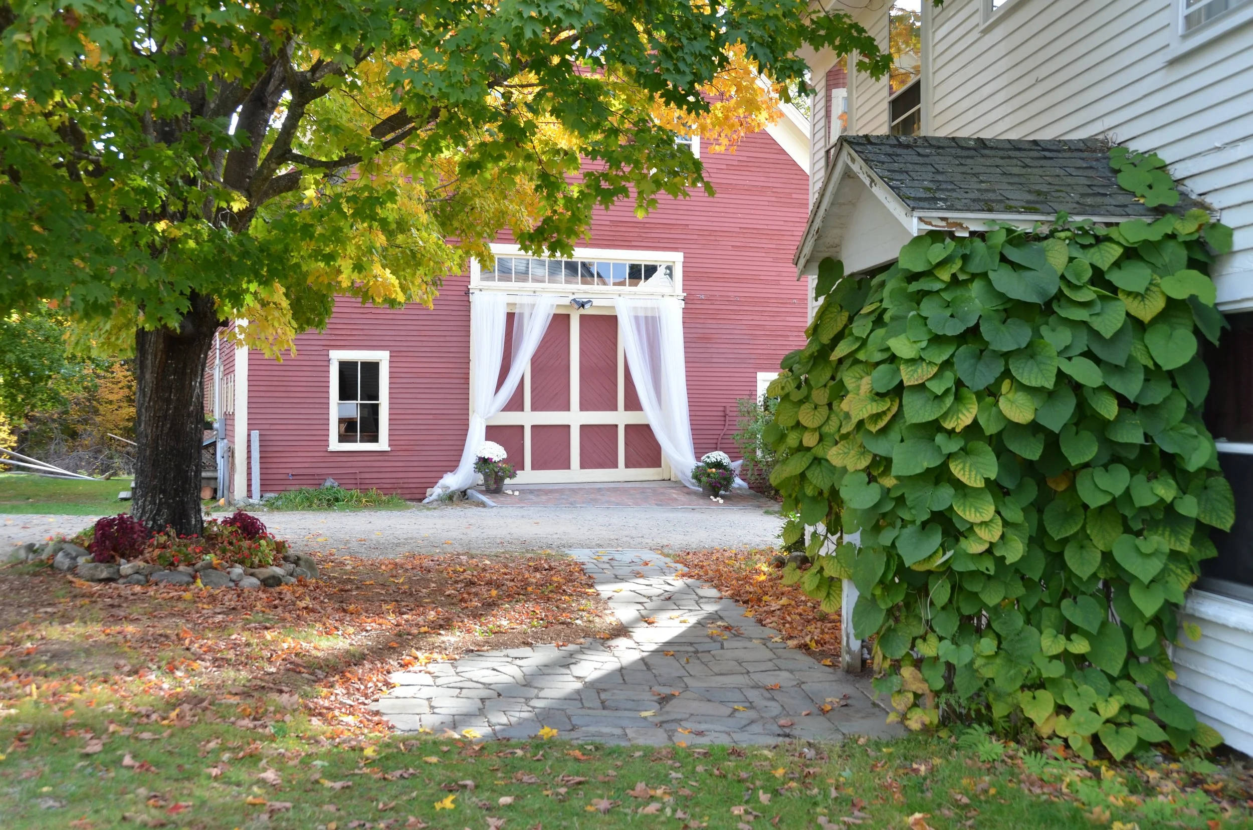 DSC_1316.jpg