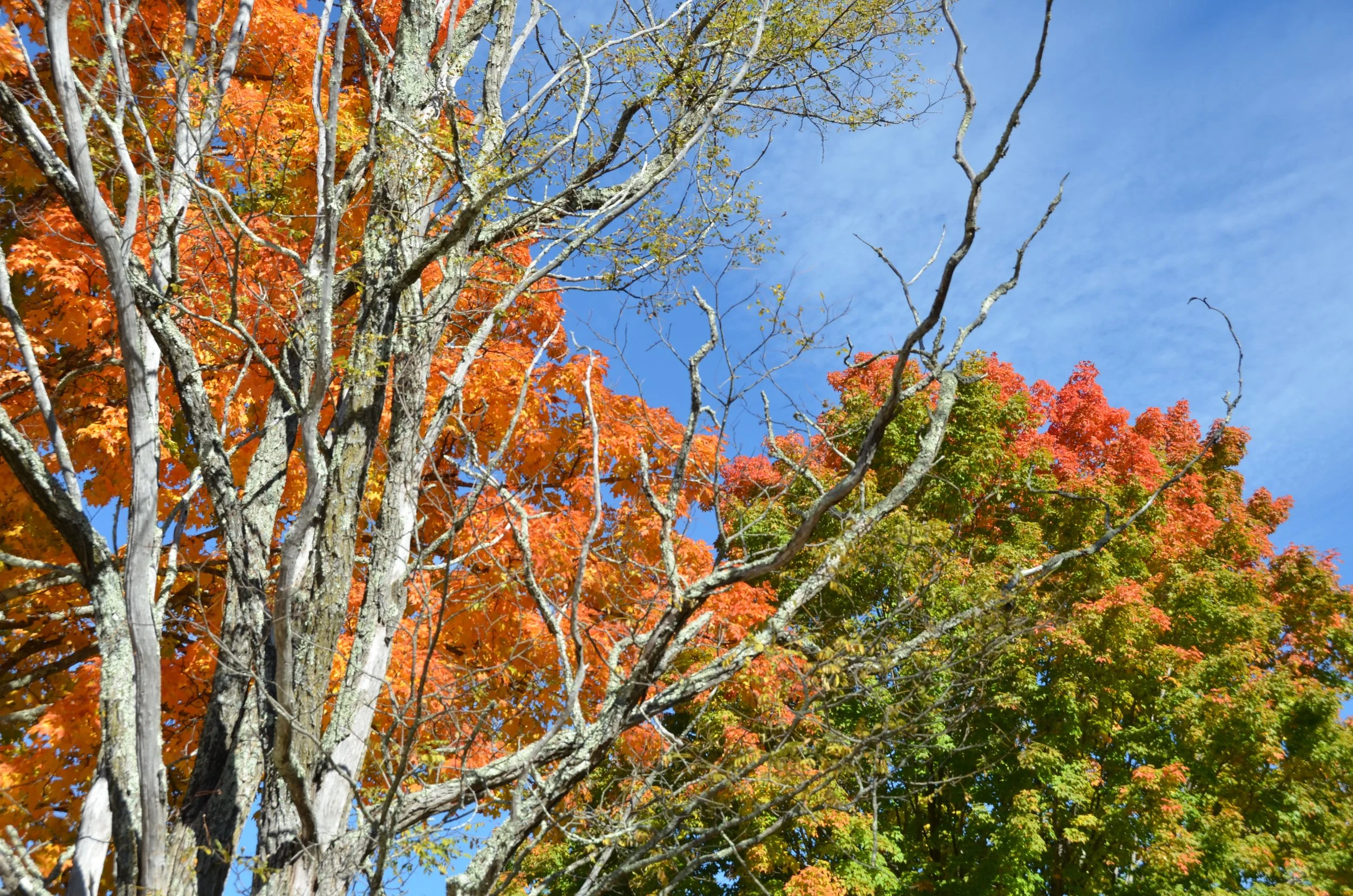 DSC_1324.jpg