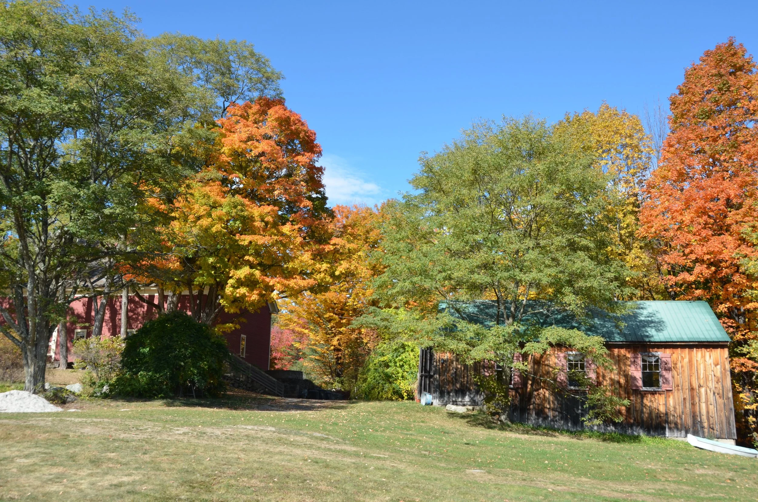 DSC_1330.jpg