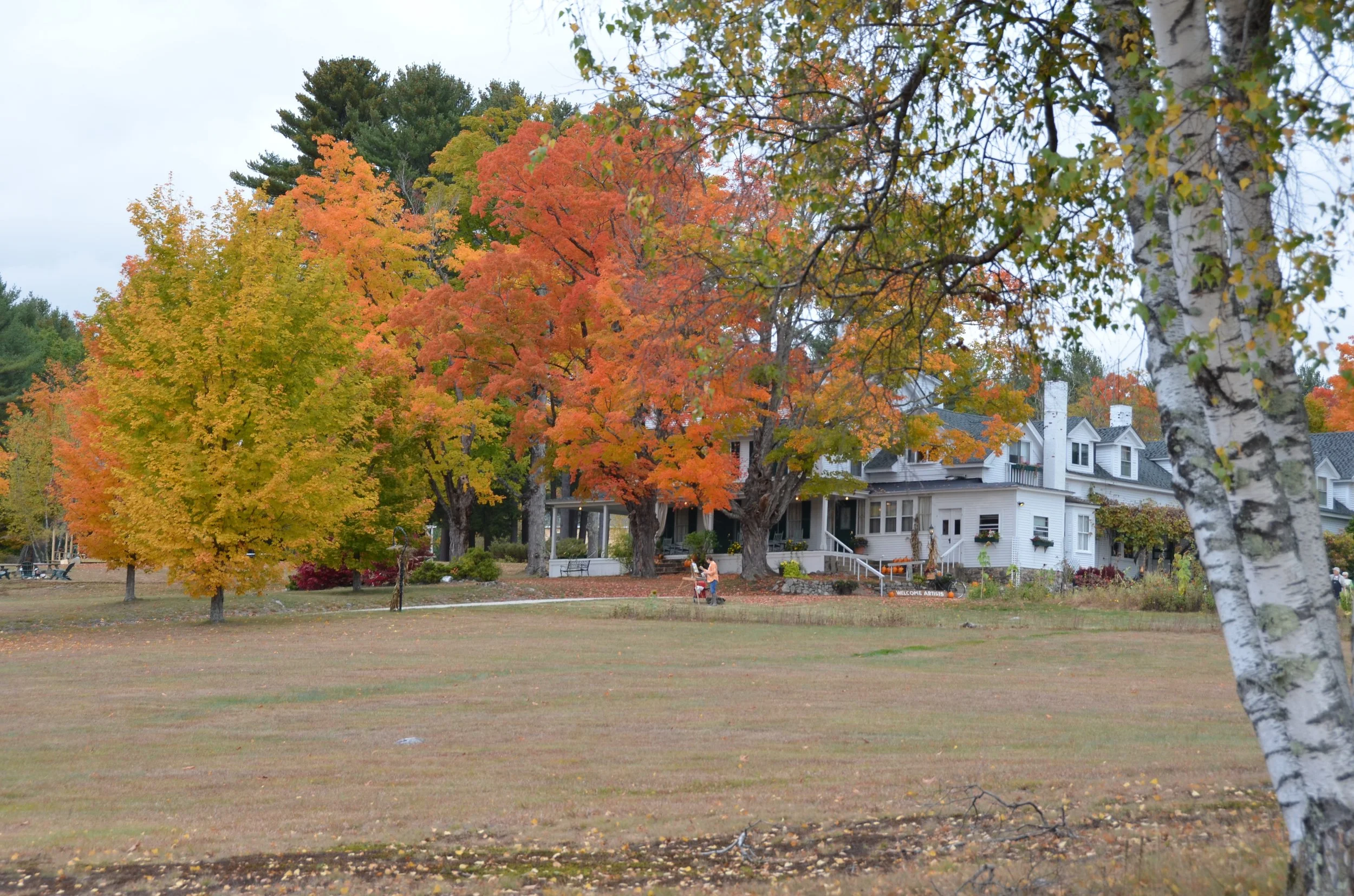 DSC_1357.jpg