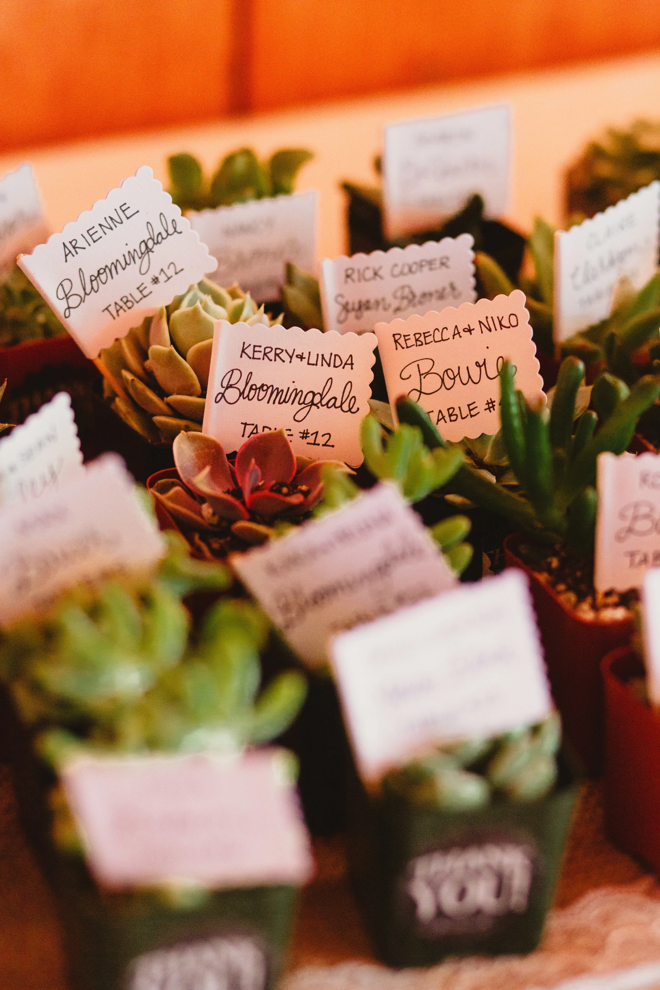 RickSara_Wedding_Reception-23.jpg