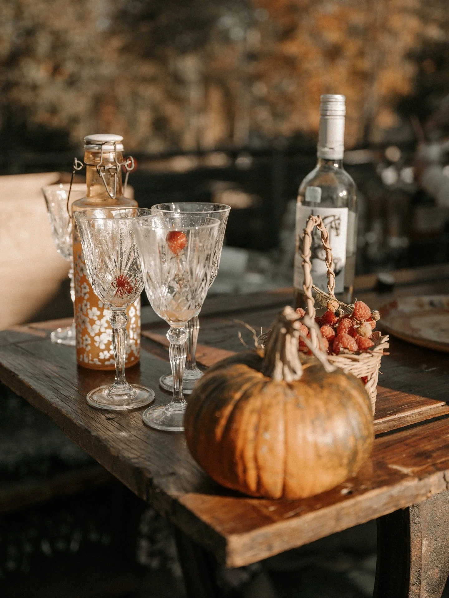 Plans this week include pumpkins, pumpkins, and more pumpkins! Wishing everyone a happy Halloween week with all treats - no tricks! ๐โจ
#thepreserveatchocorua #halloween #pumkins #fall #fallweddings #nhfall #halloweenwedding #whitemountainsnh