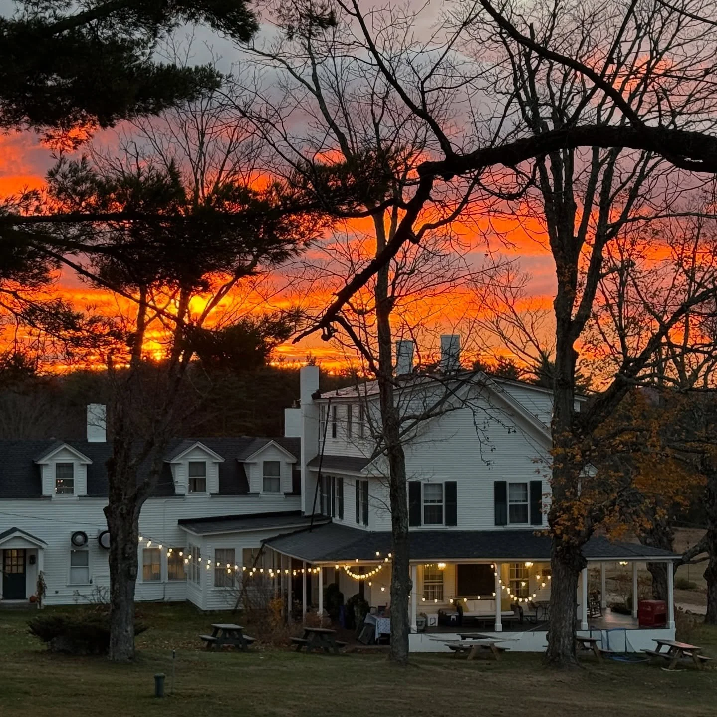 A magical sunrise today. Happy November 1st. 🌅

#thepreserveatchocorua #sunrise #november #fallwedding #explorenh #whitemountainsnh #weddingvenuehunting #tamworthnh #whitemountainsnh