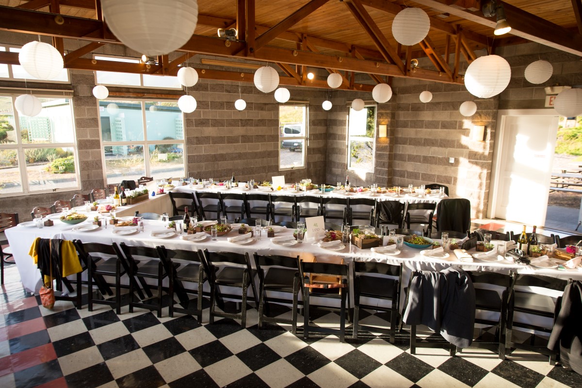 Point Reyes Wedding (80).jpg