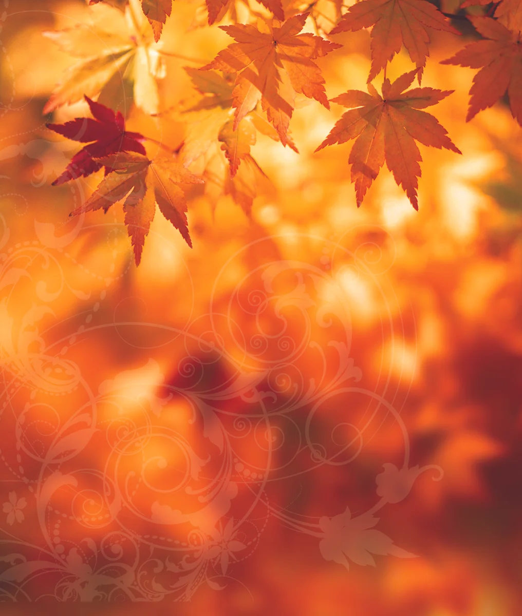 Web background.jpg
