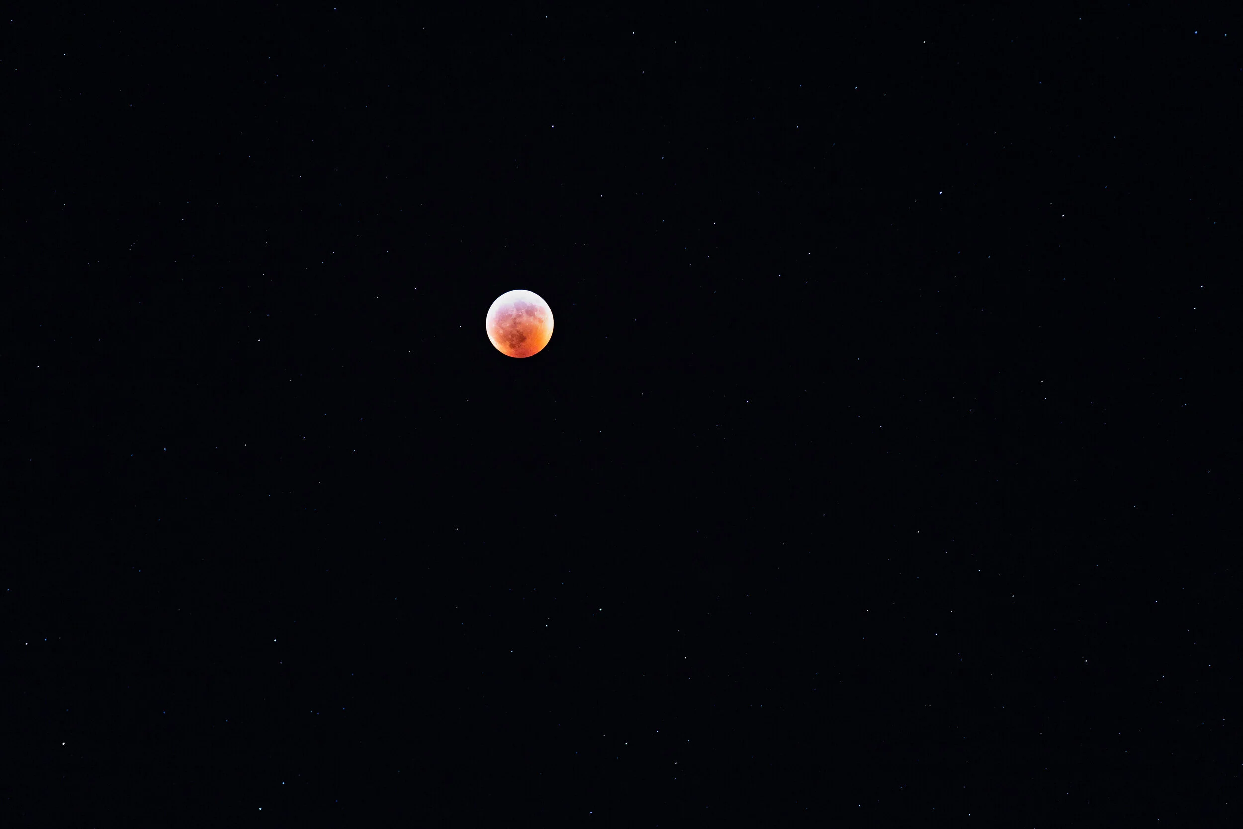 Moon 2019-1.jpg