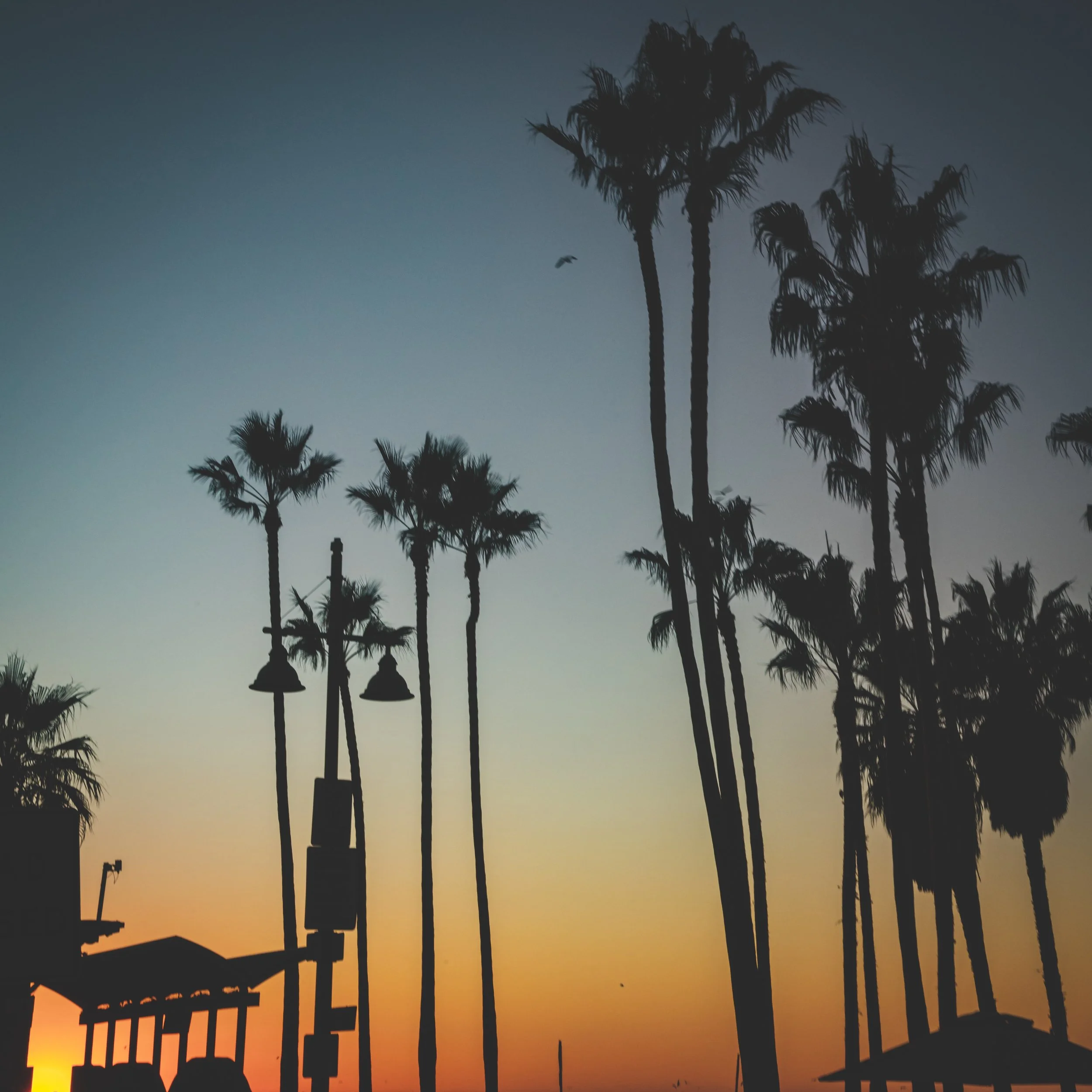 Santa Monica 2019-192.jpg