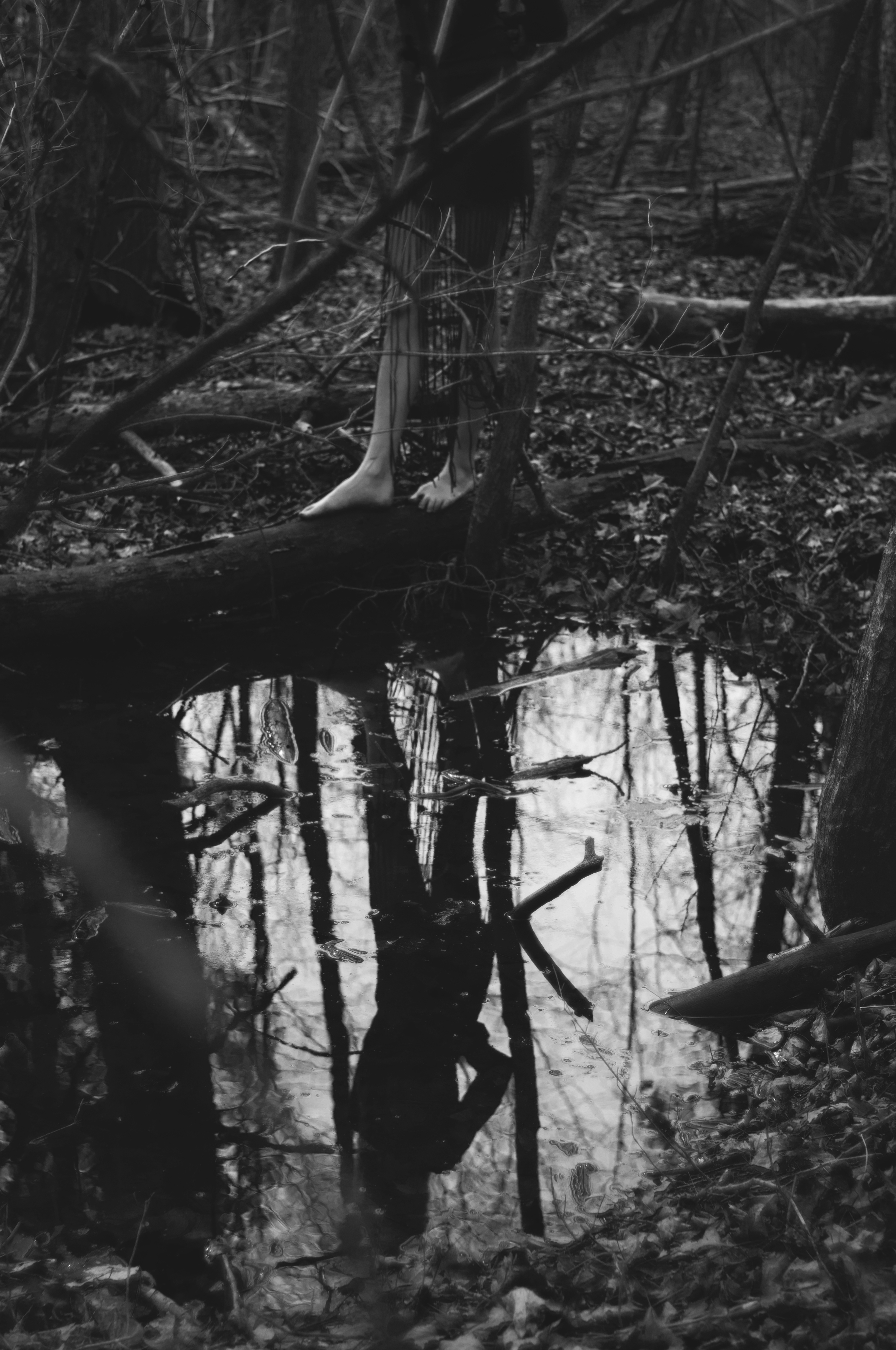 DSC_0169.jpg