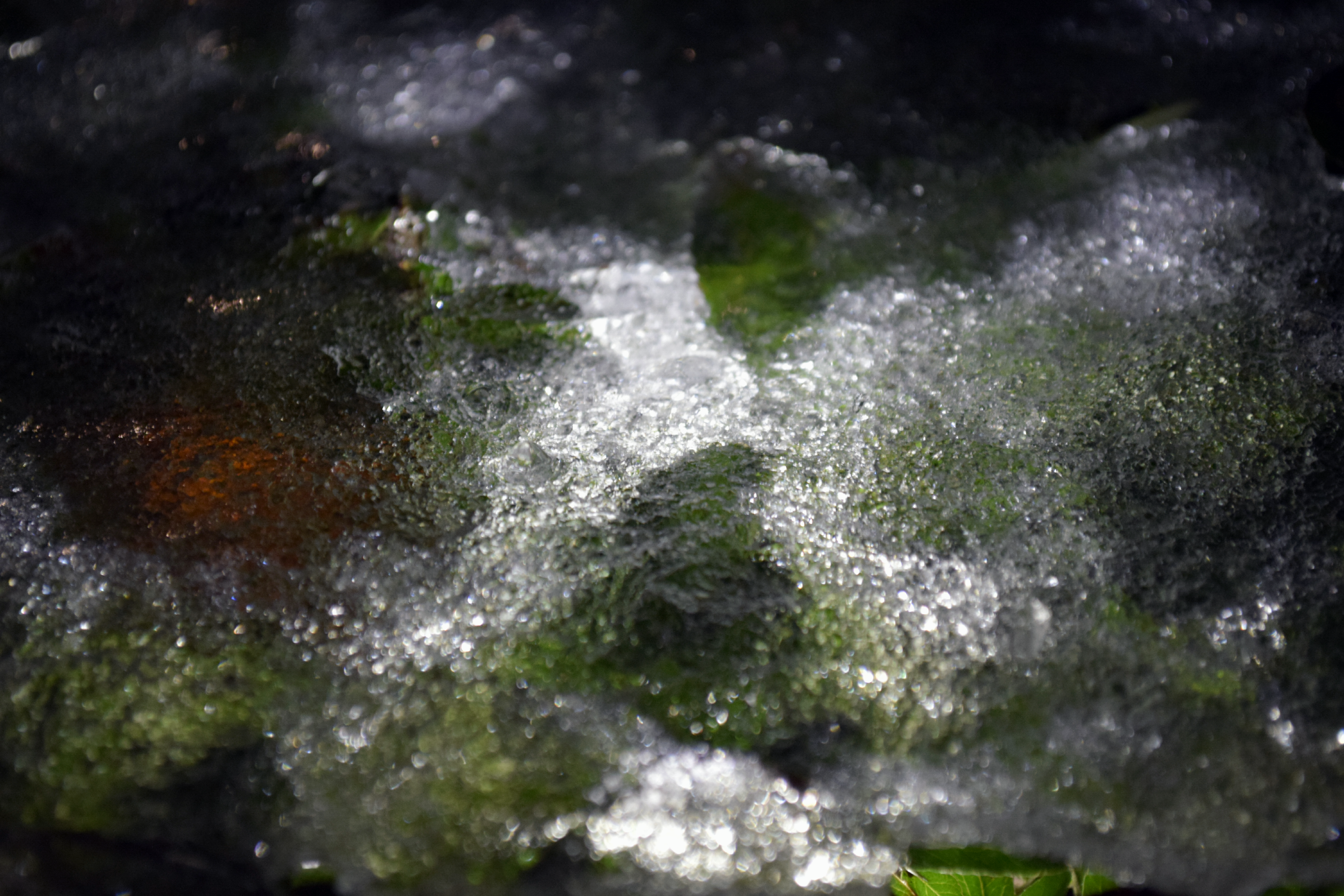 icy.png