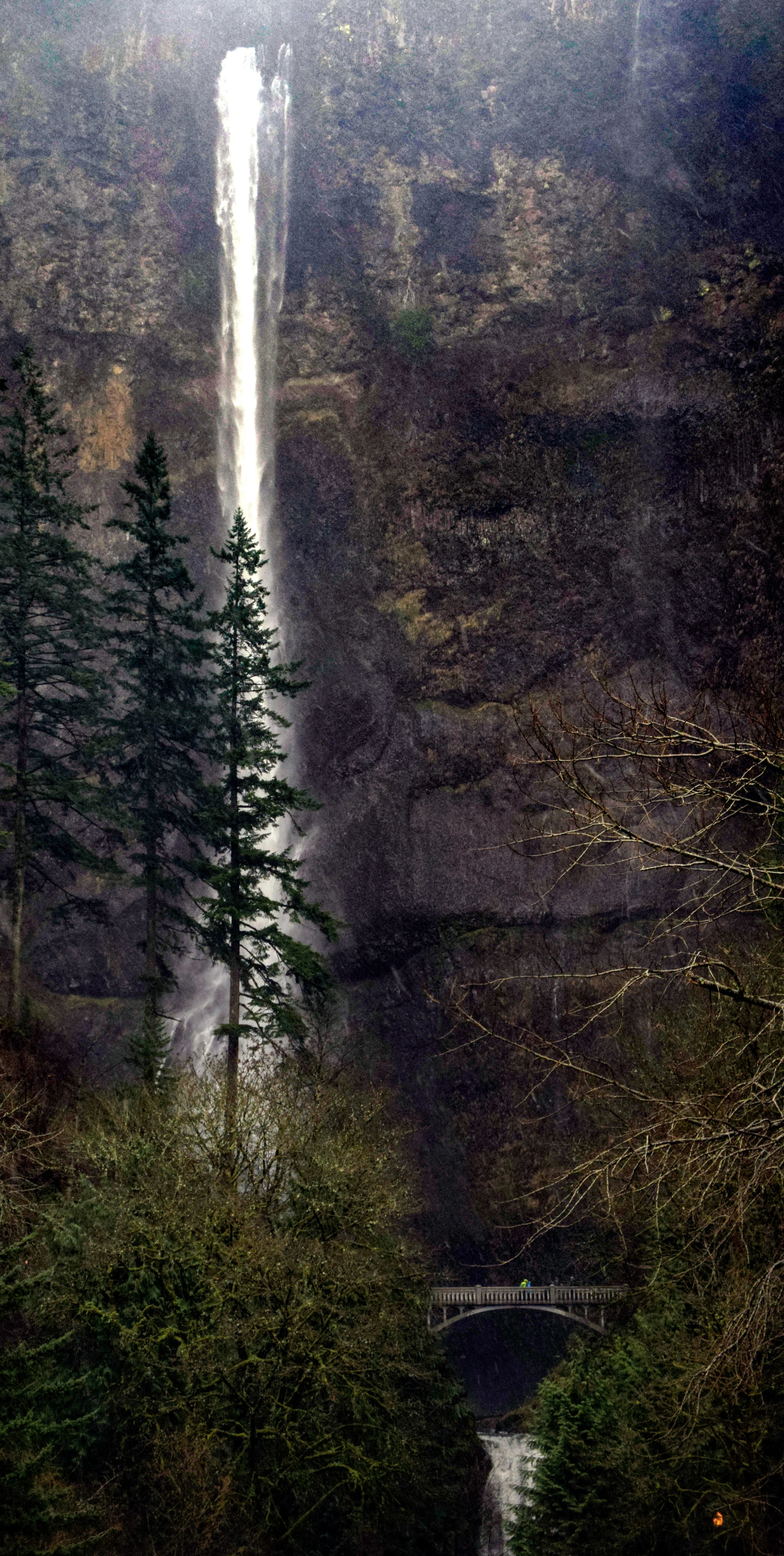 Multnomah Falls, Columbia River Gorge, OR