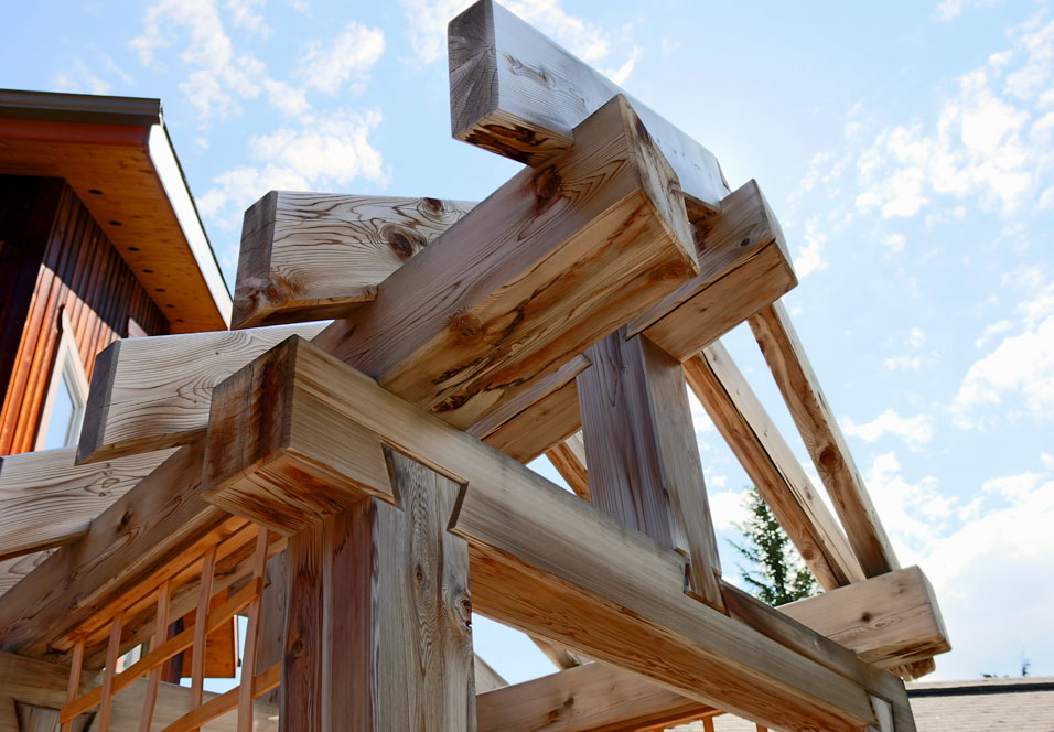 Arbor Close-Up