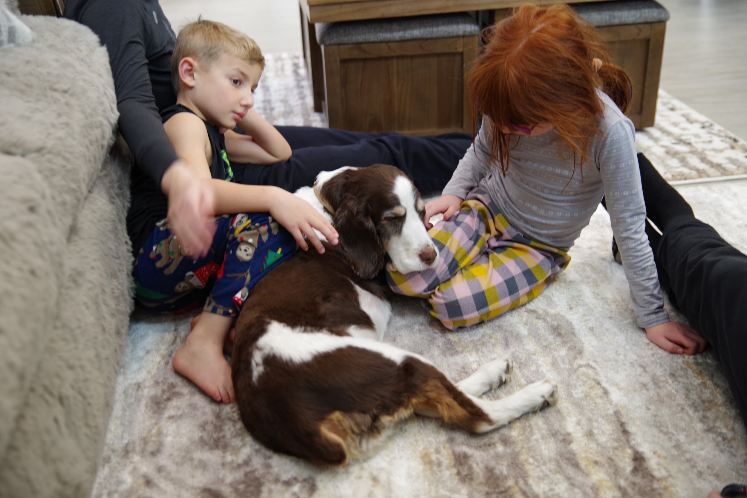 Topo makes every trip better.