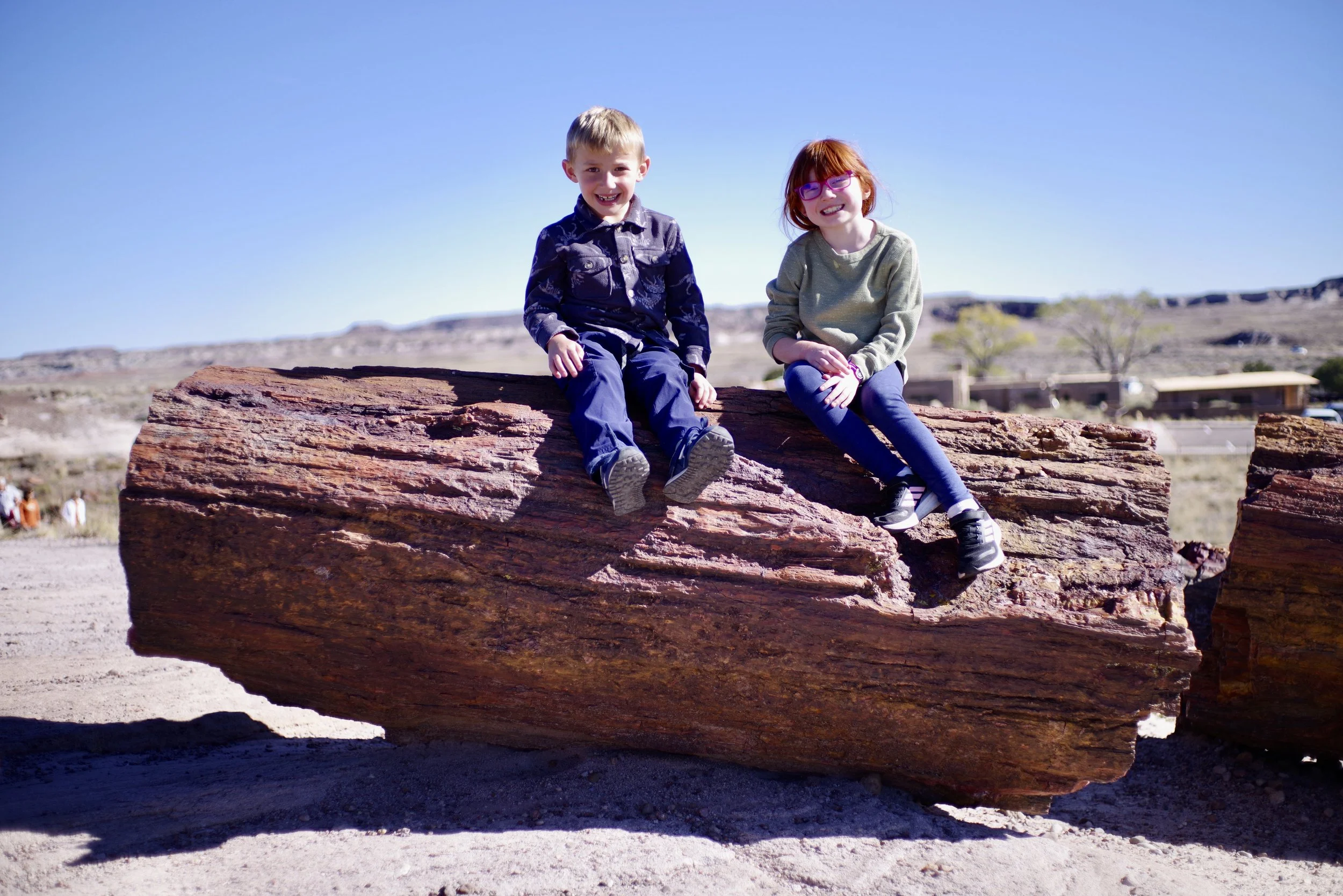 Very, very old wood!