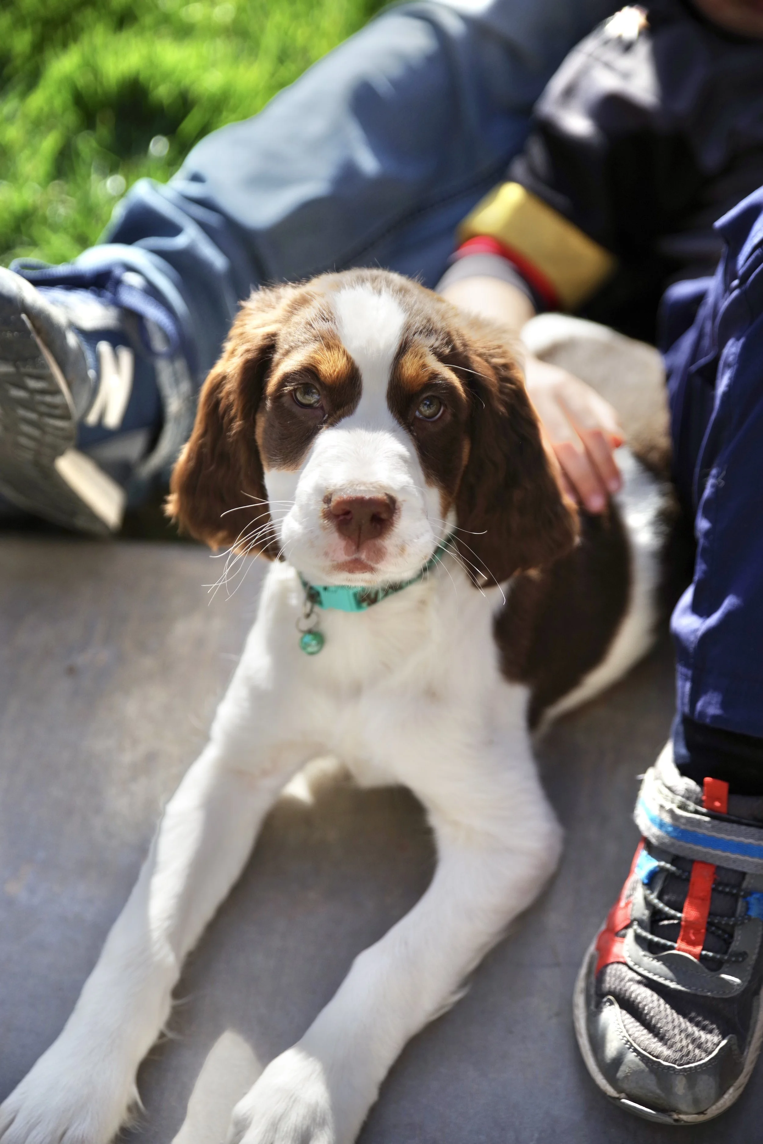 Welcome home, Pepper!