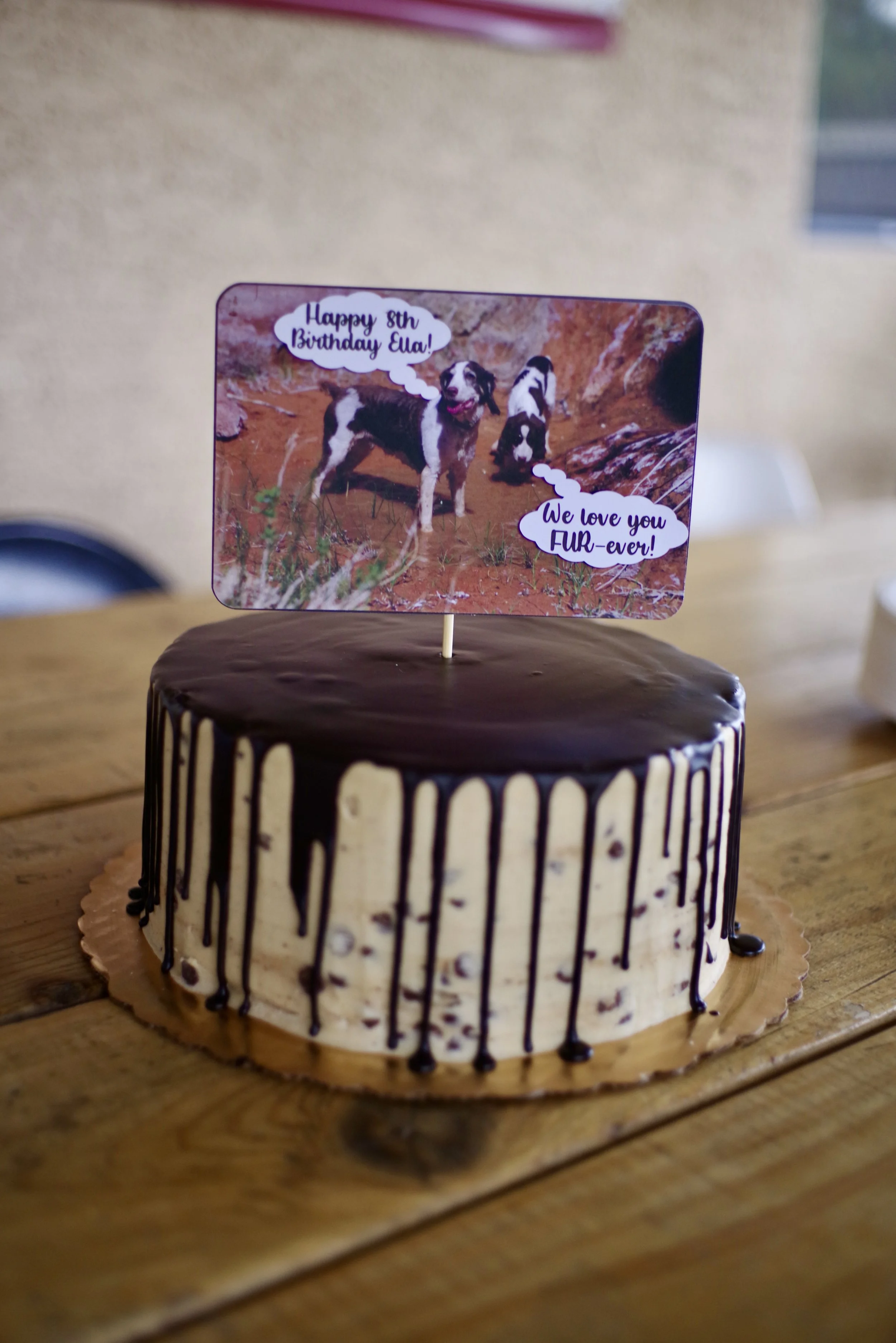 Topo and Pepper are so important to Ella!