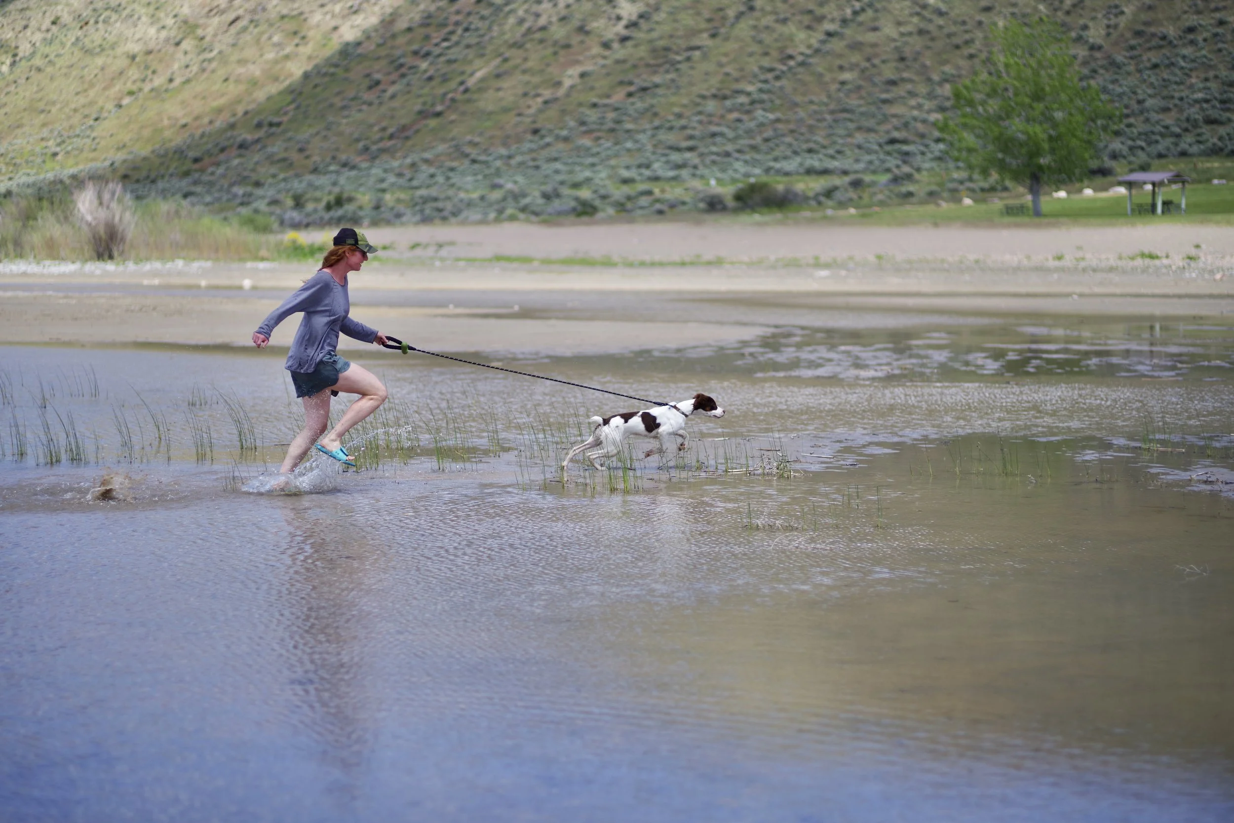 Pepper was loving it...then park rangers kindly reminded us that she needed to be leashed. 