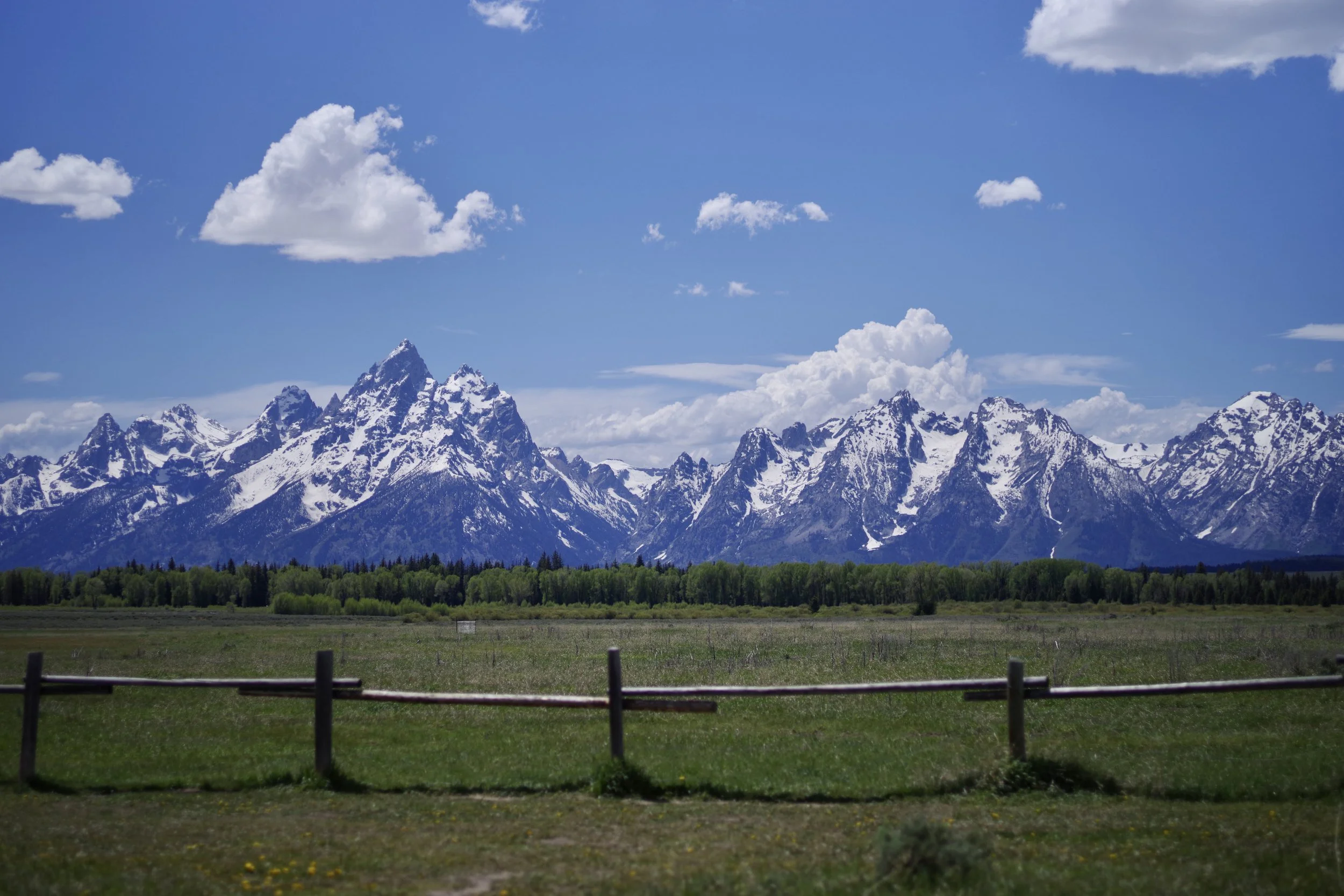The Grand Tetons!