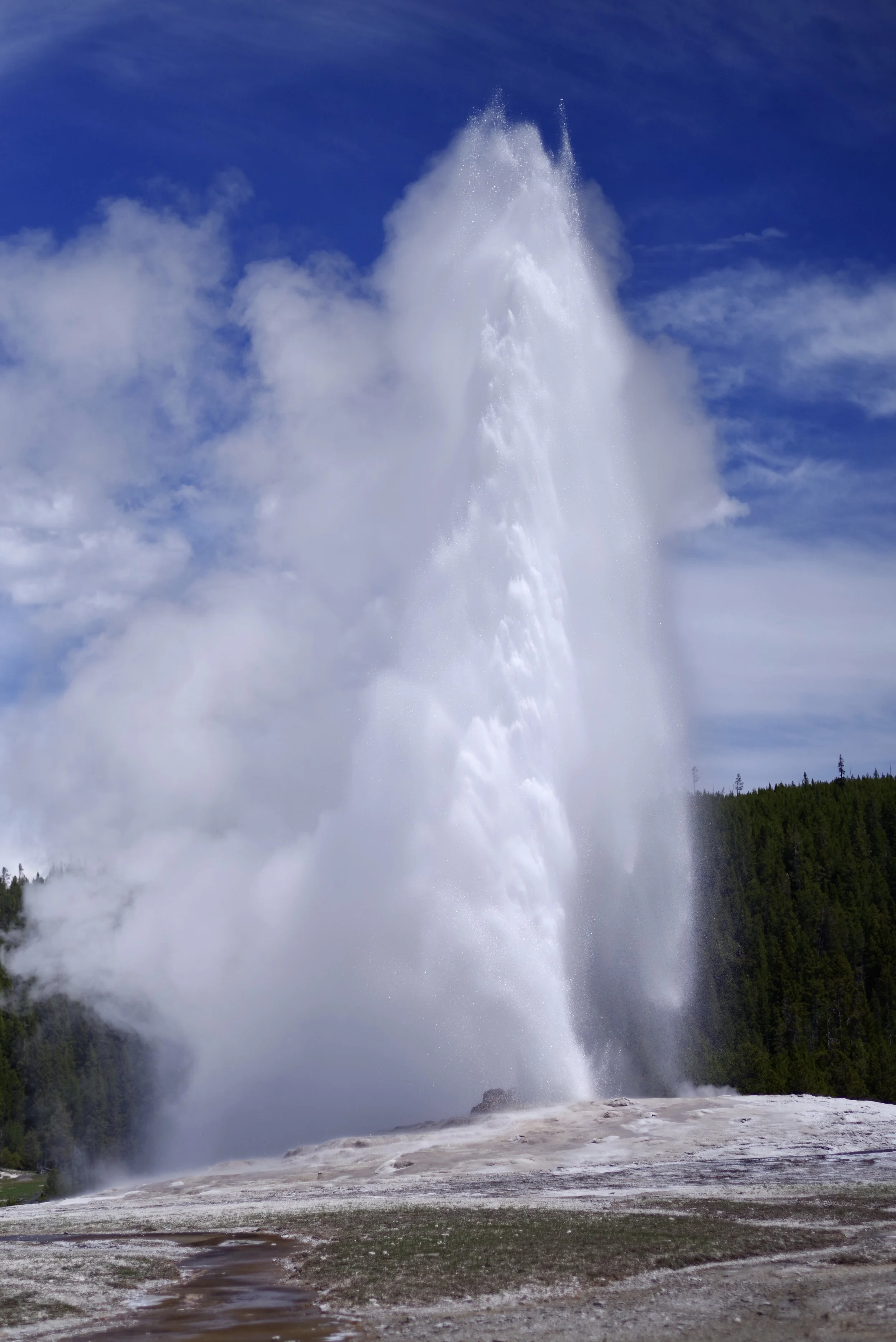 Old Faithful