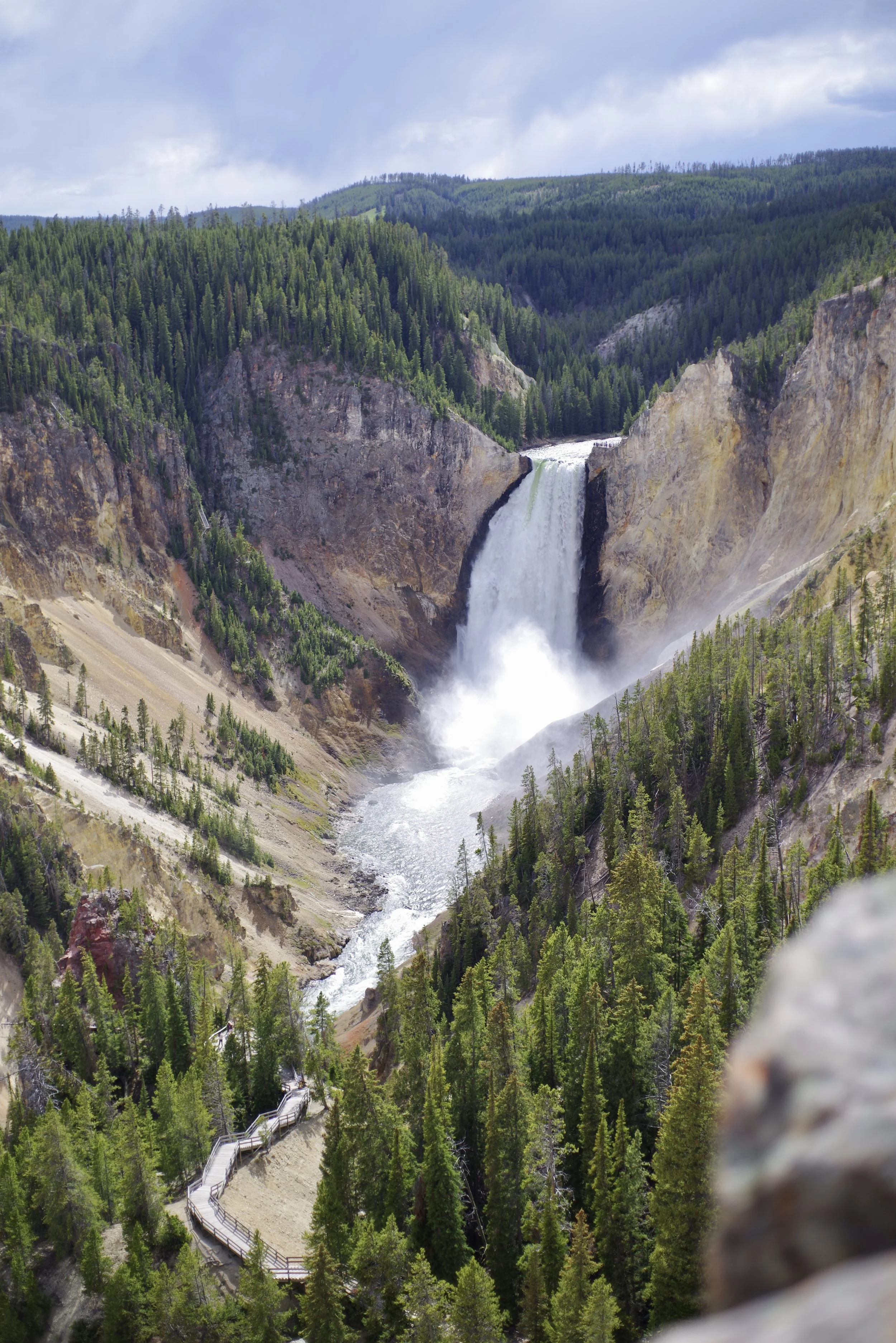 Yellowstone Falls