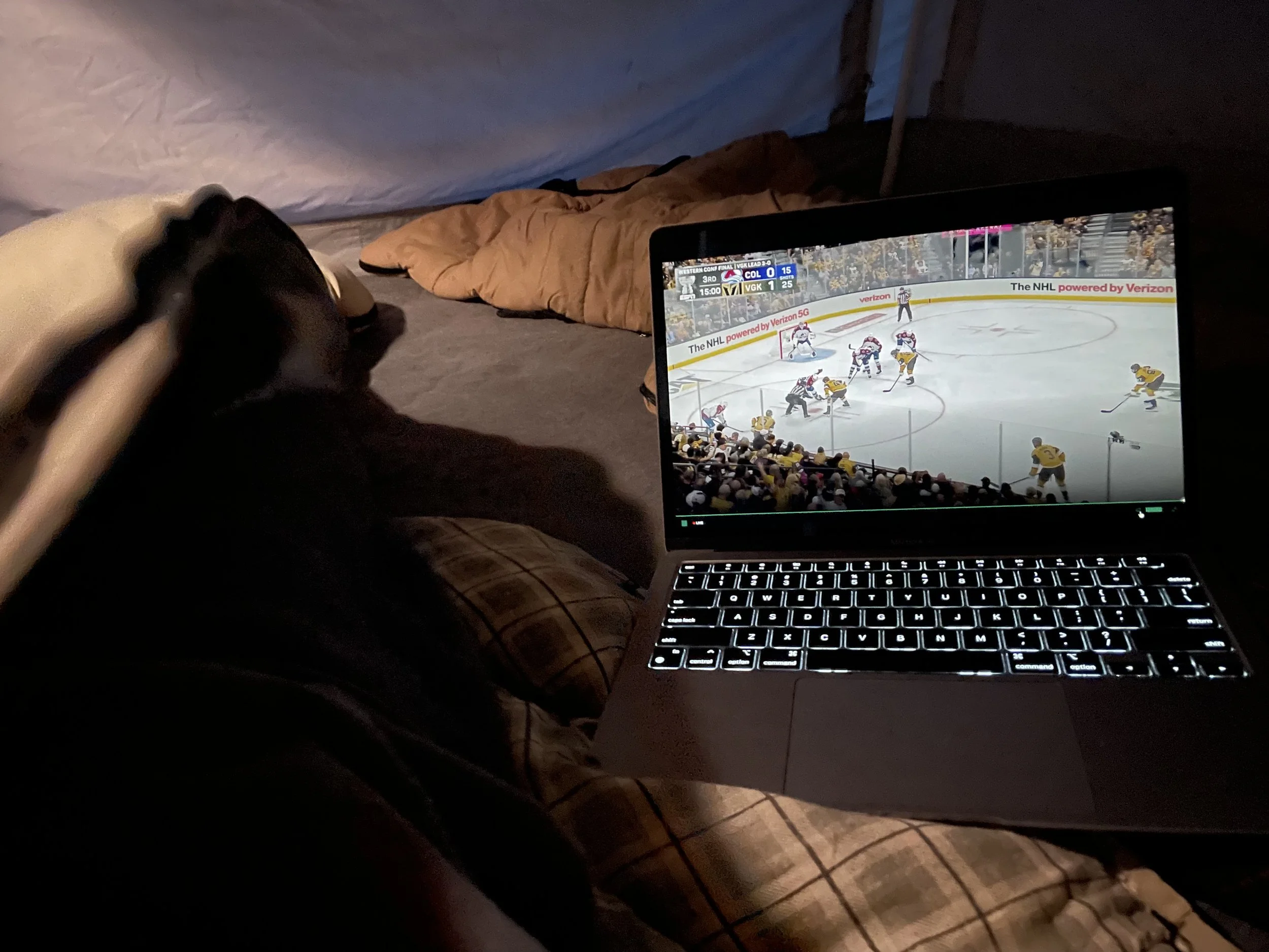 We did what we needed to do to watch the Knights vs. Avs series.