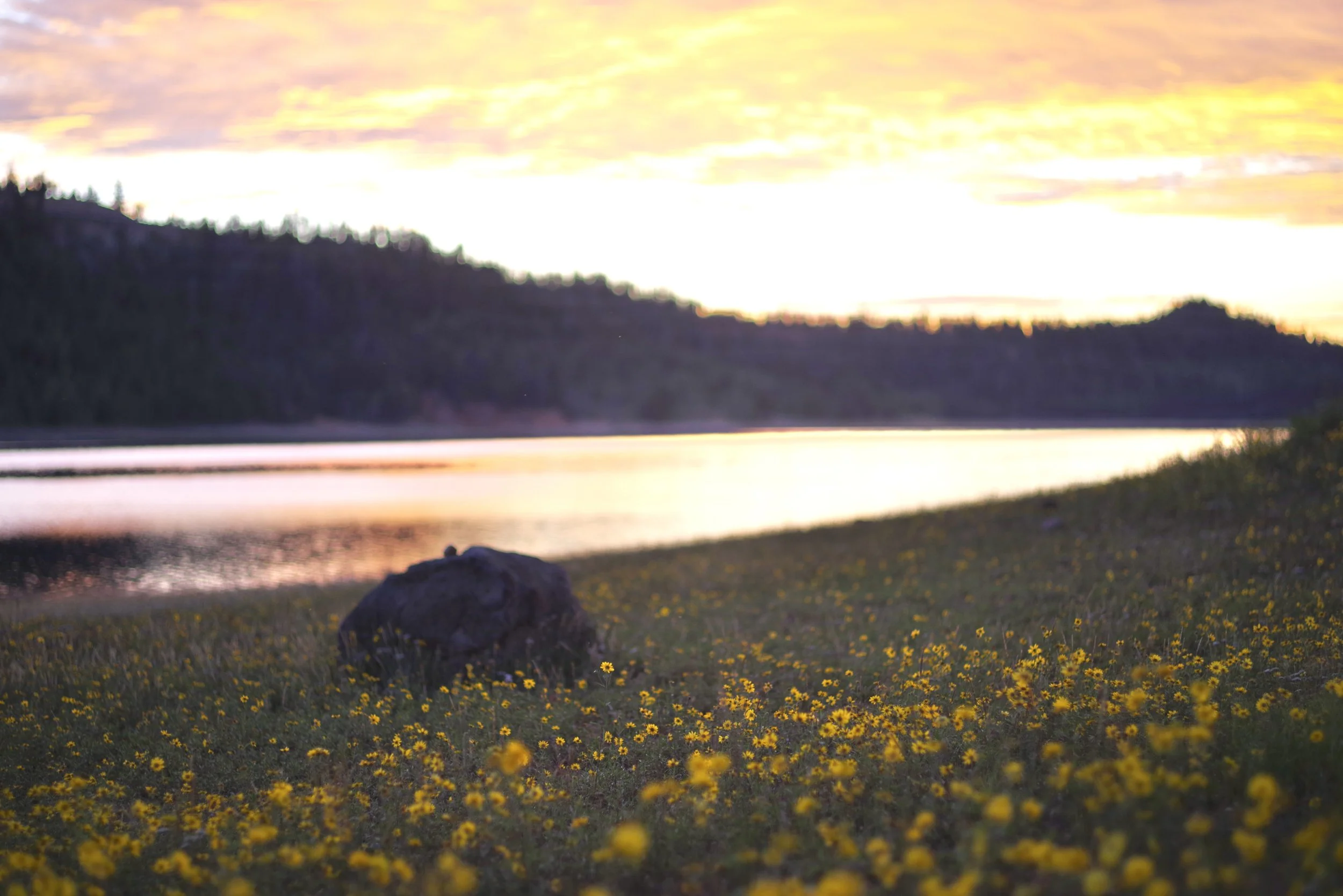 Sunrise on Sunday morning.