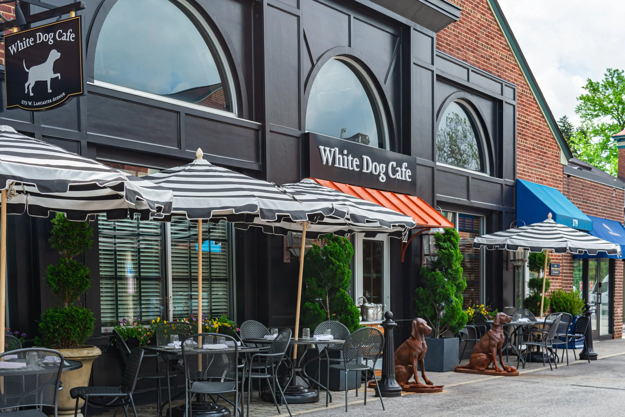 White Dog Cafe Haverford (18).jpg