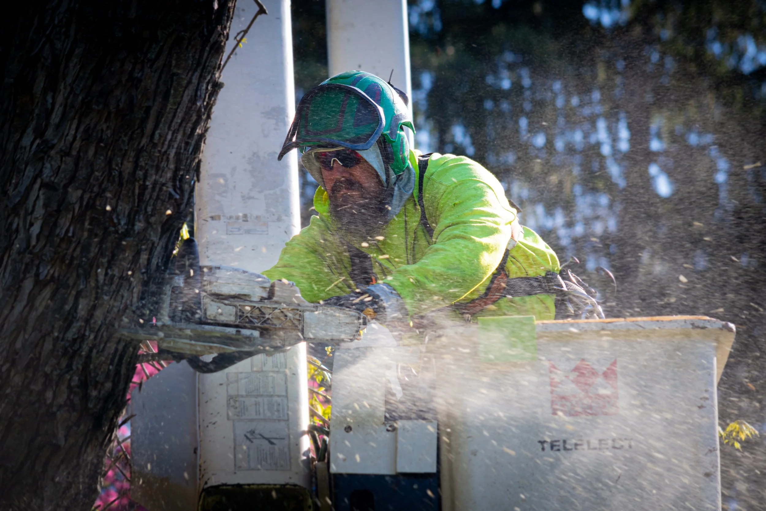 Rusty Roots Tree Care