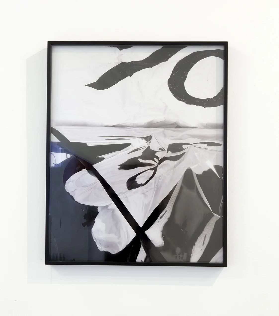 Aaron Rees
