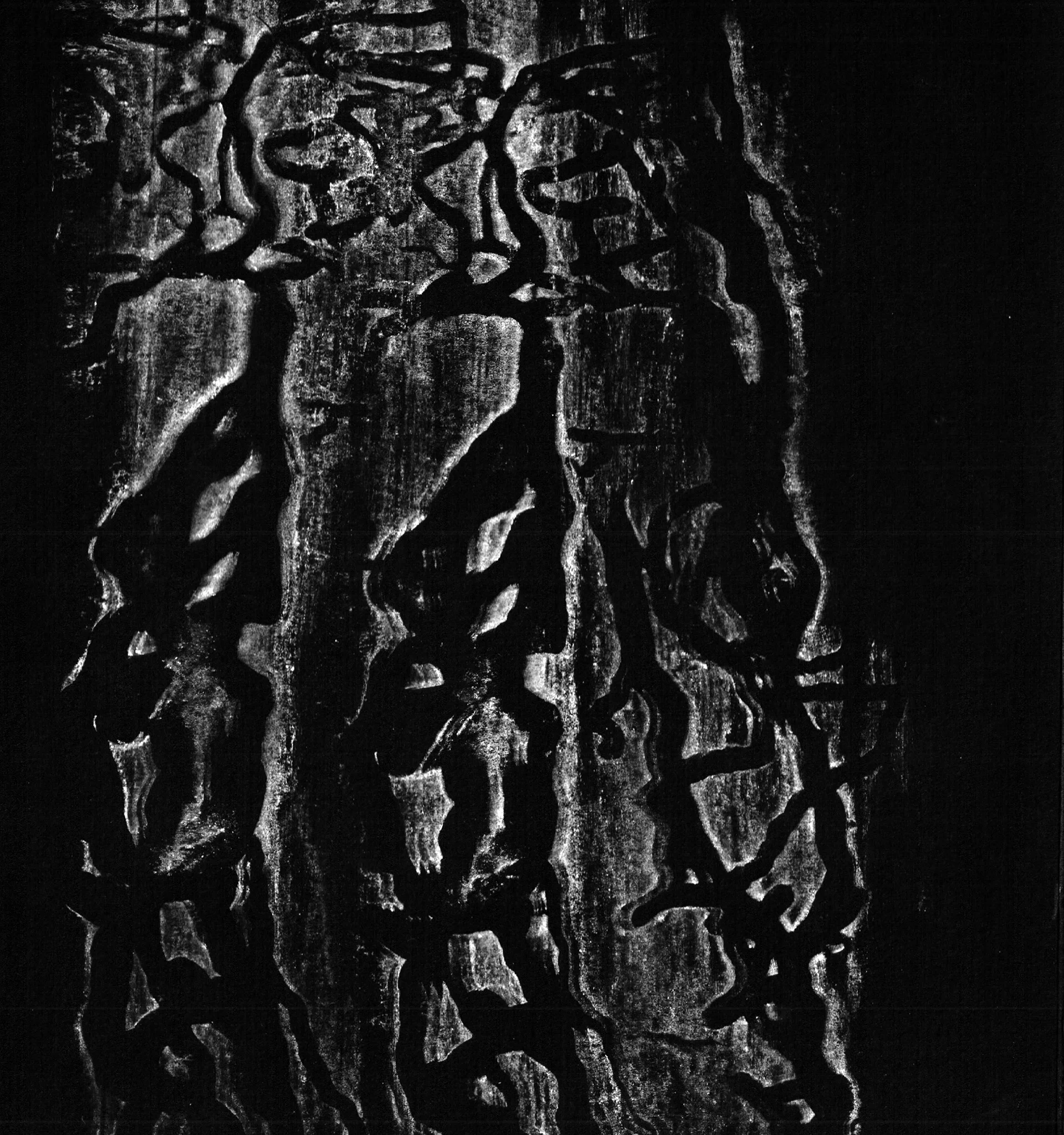 BeetlePrint7_black.jpg