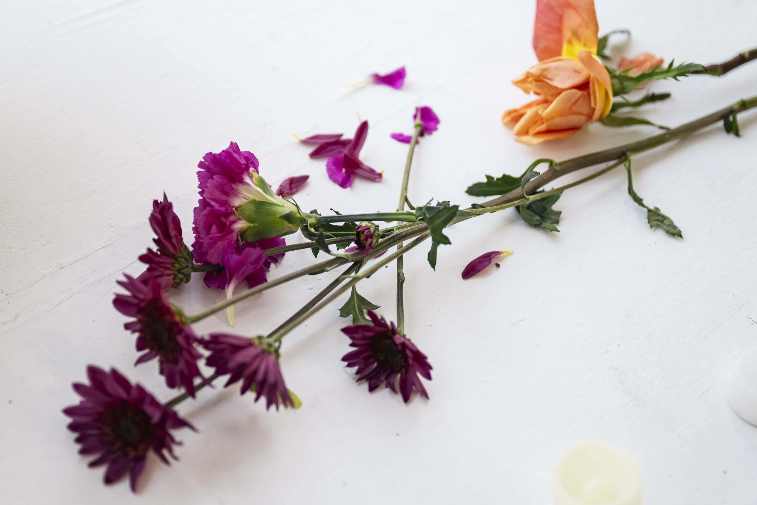 sensual suaree - 030.jpg