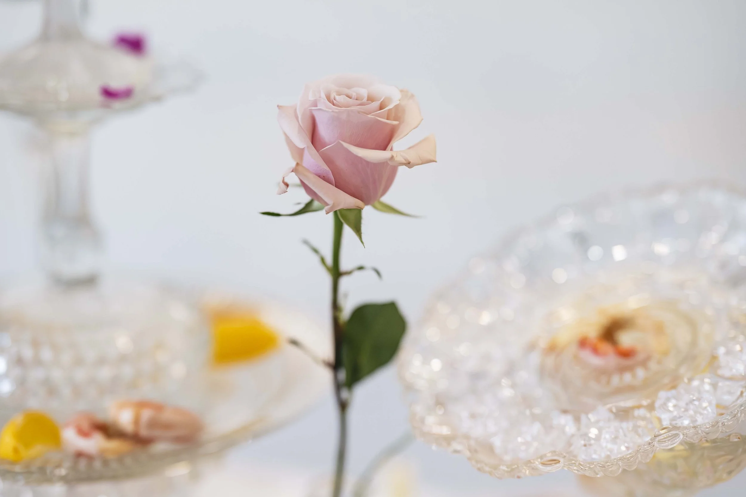 sensual suaree - 040.jpg