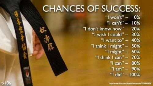 Black Belt Chances of Success