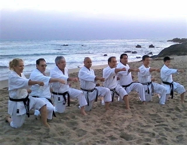 Malibu Beach Workout 2015 Left to Right: Lynn Aponte, James Augur, Leo Shortle, Vern Vaden, Ty Aponte, Robert Nunez, Keelan Aponte, and Max Chao-Haft