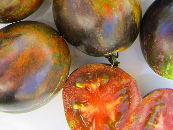 Cosmic Eclipse Artisan Tomato