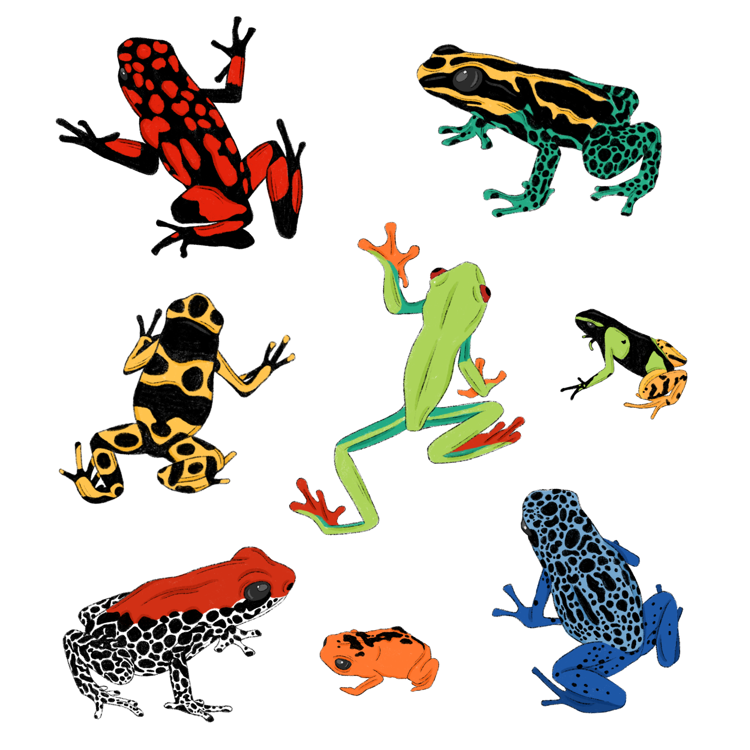 frogs.png