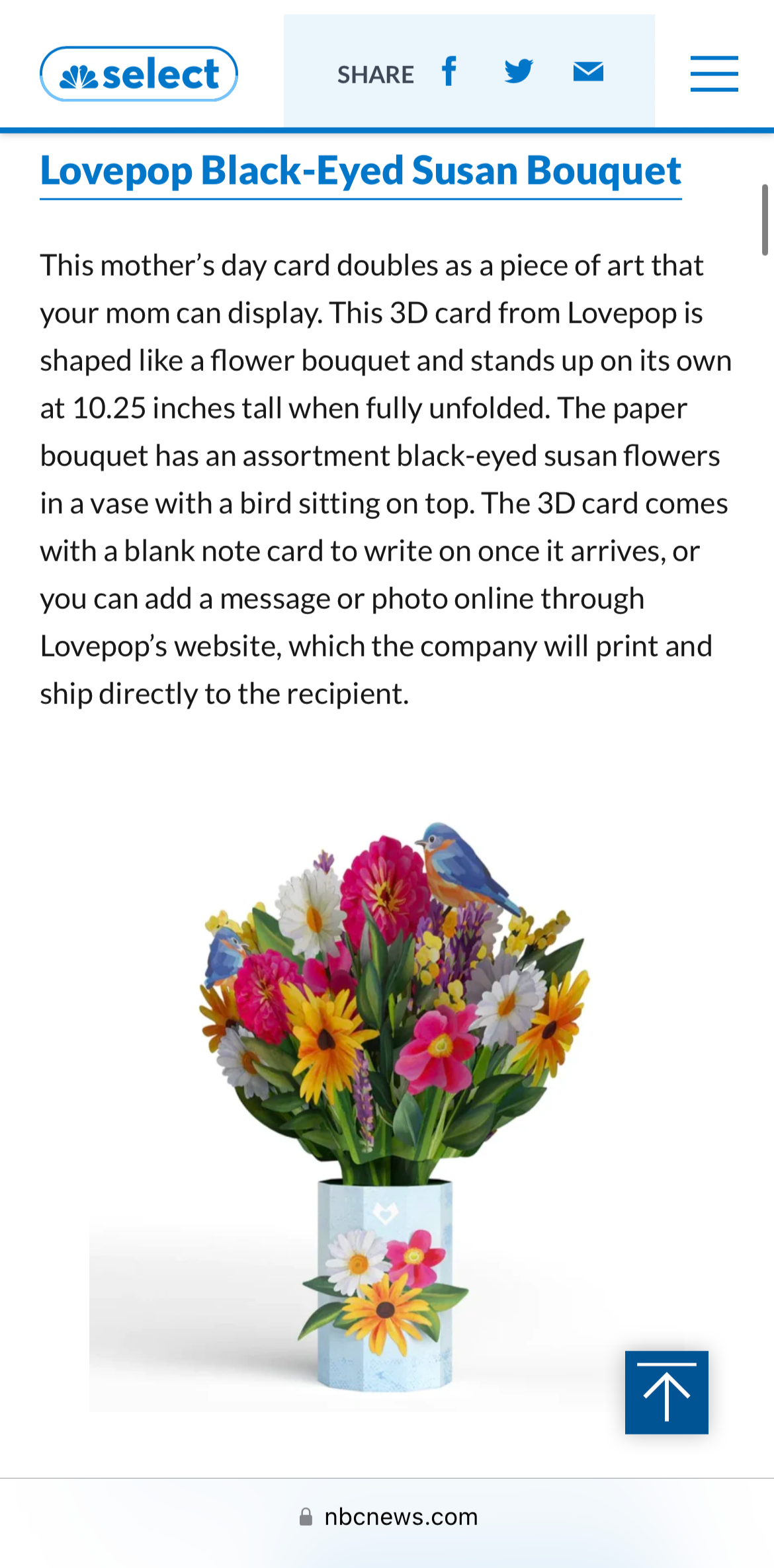 NBC News Mother's Day Gifts- The bouquet I illustrated and made