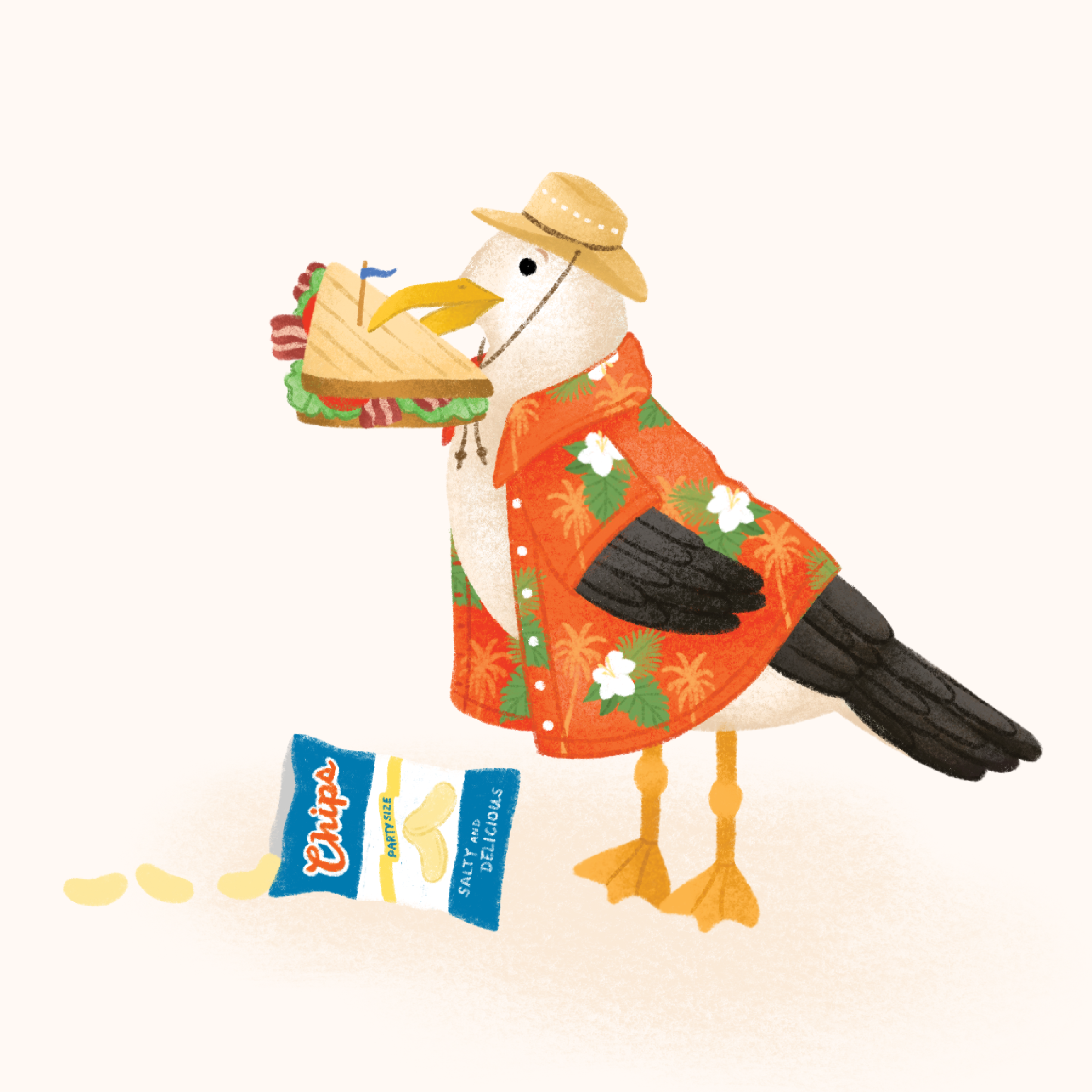 California Seagull 