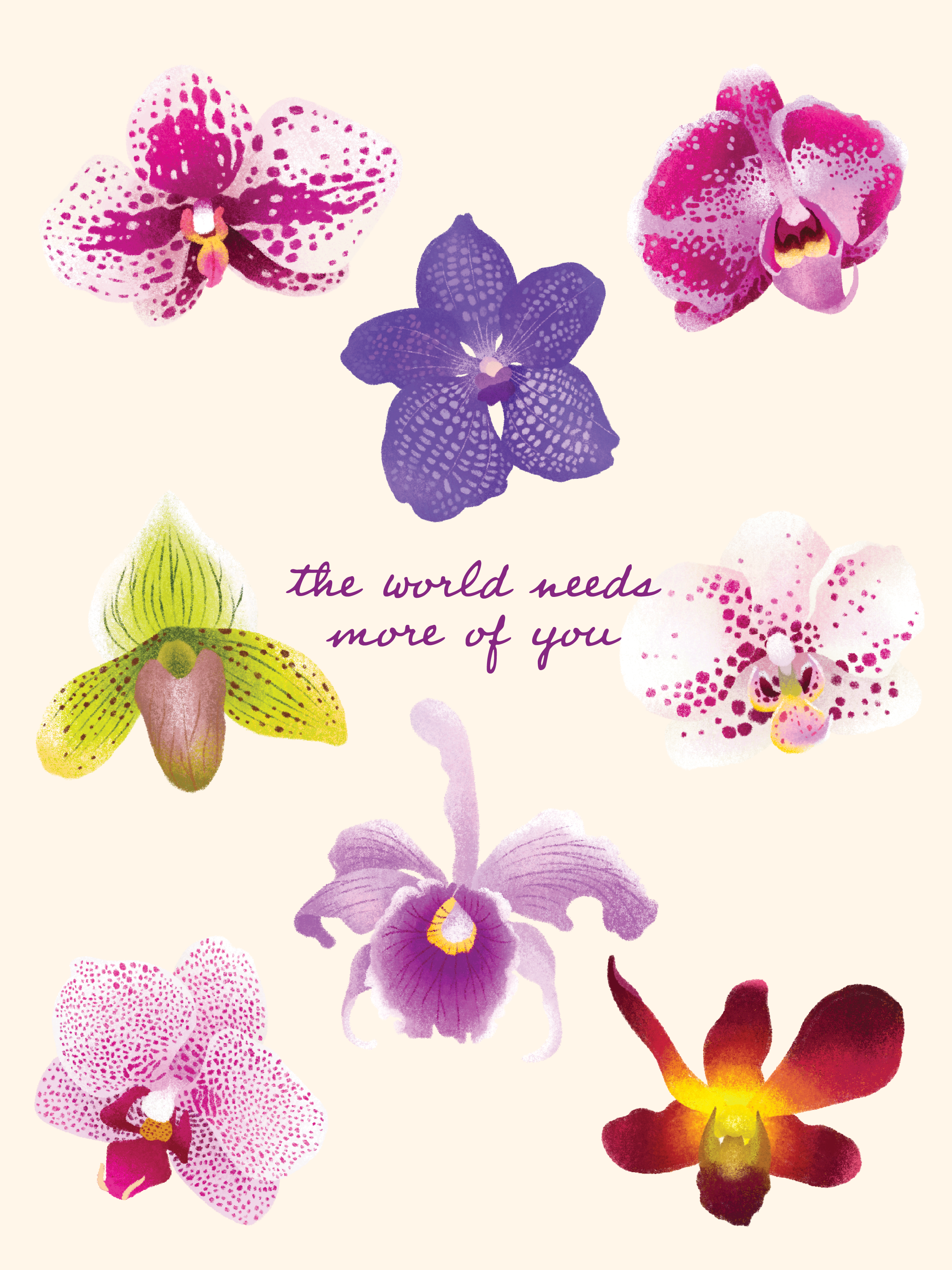 nature_orchids.png