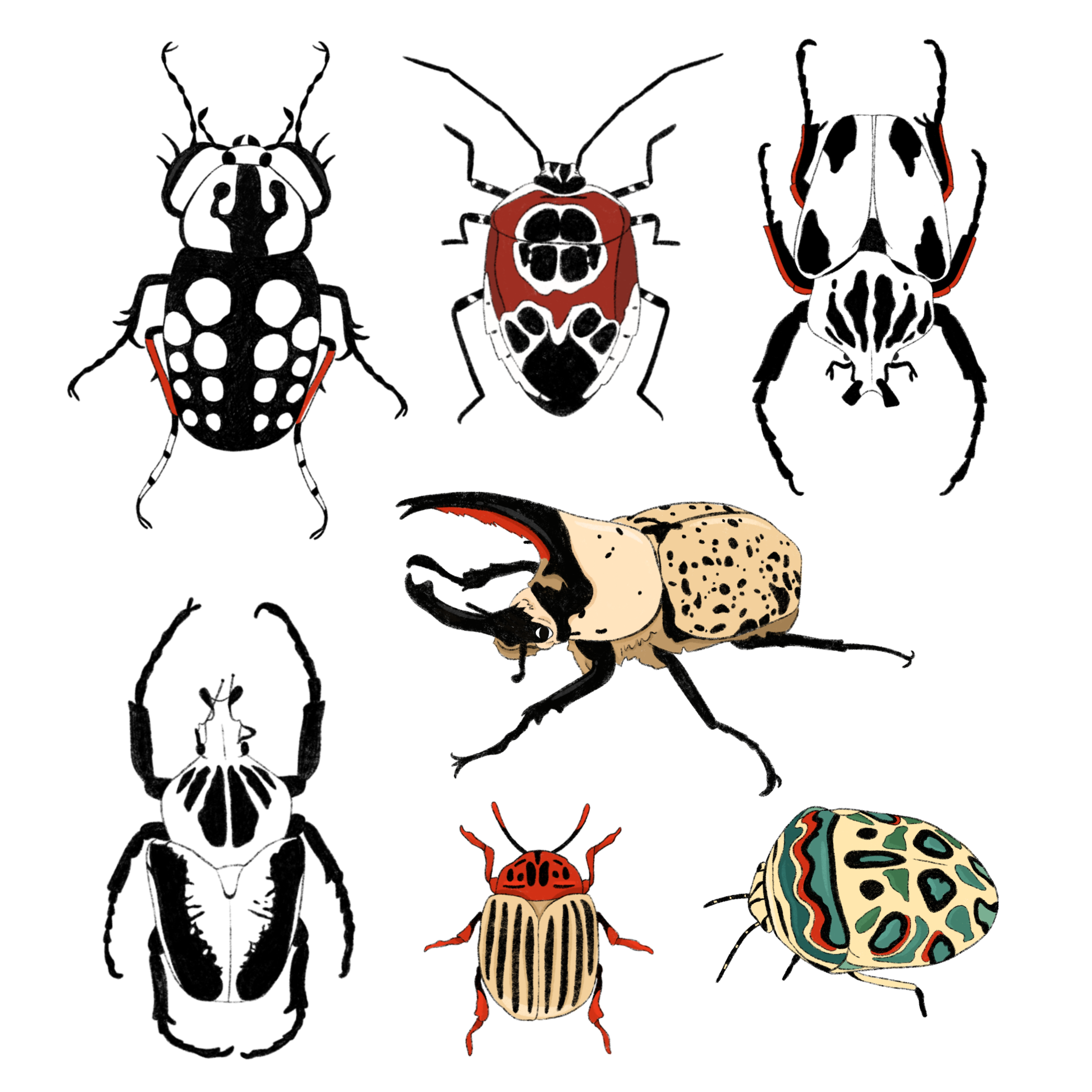 beetles.png