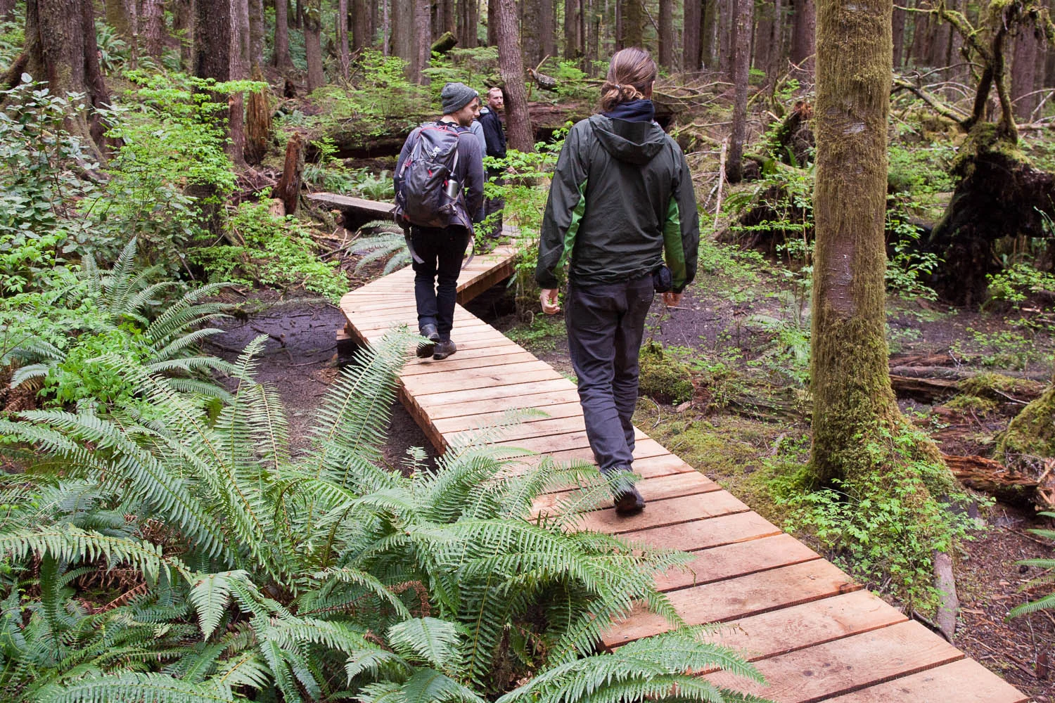 Trail-Examples-Avatar-1.jpg