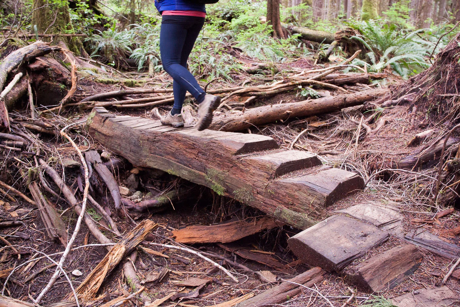 Trail-Examples-Avatar-7.jpg