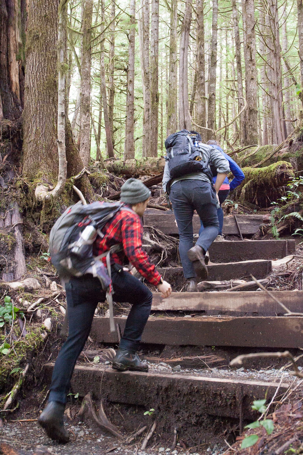 Trail-Examples-Avatar-10.jpg