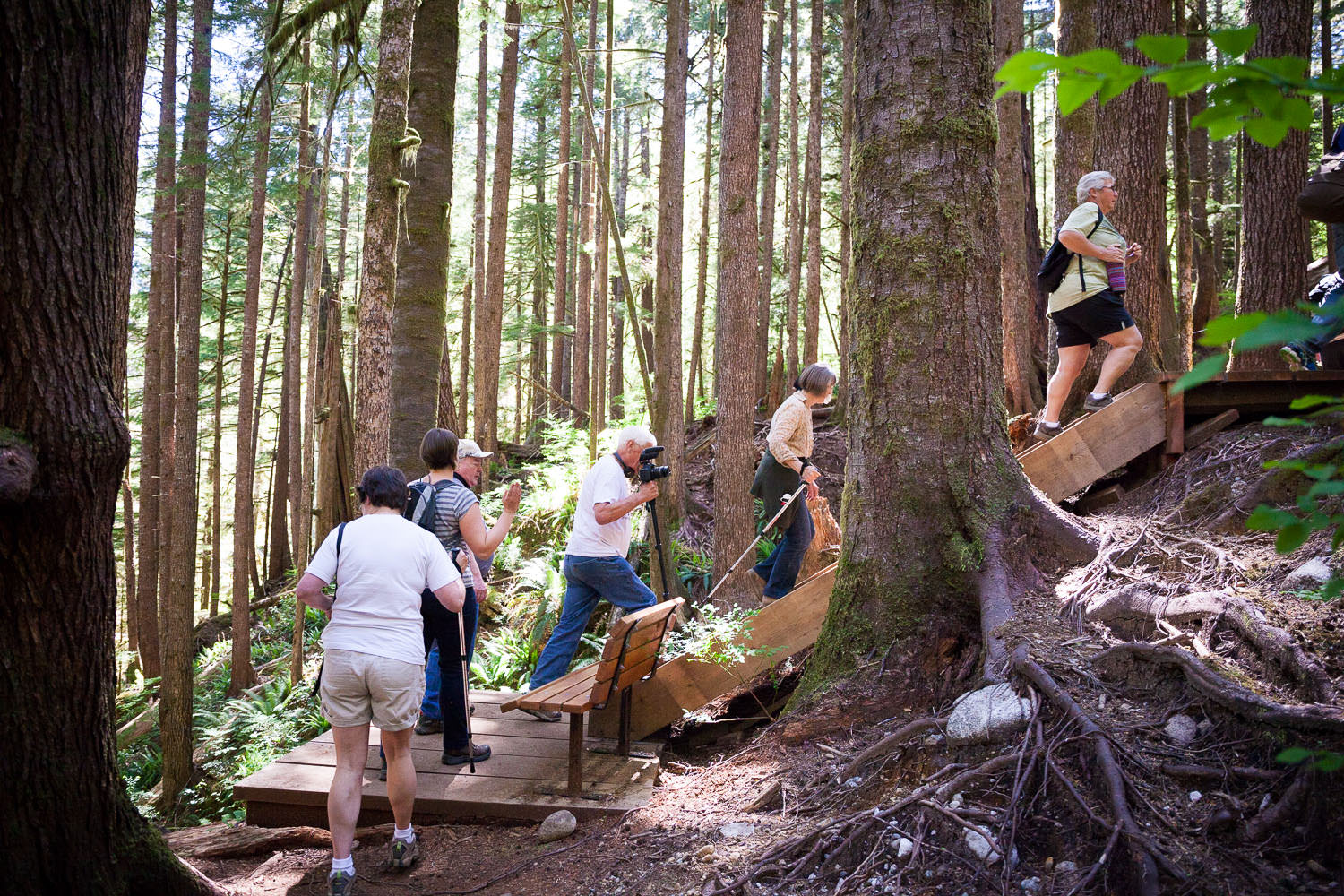Trail-Examples-Avatar-18.jpg