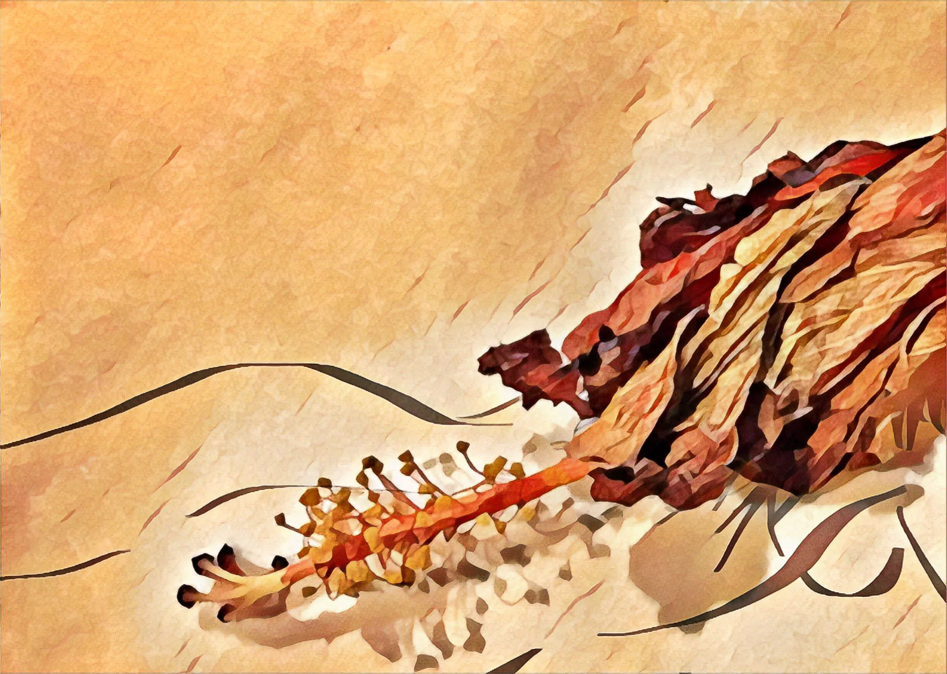 Angle of Repose (Amber)