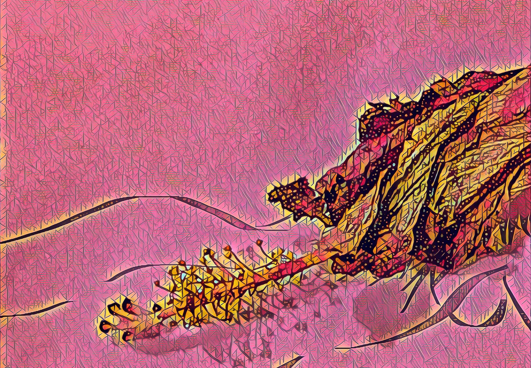 Angle of Repose (Pink Diamond)