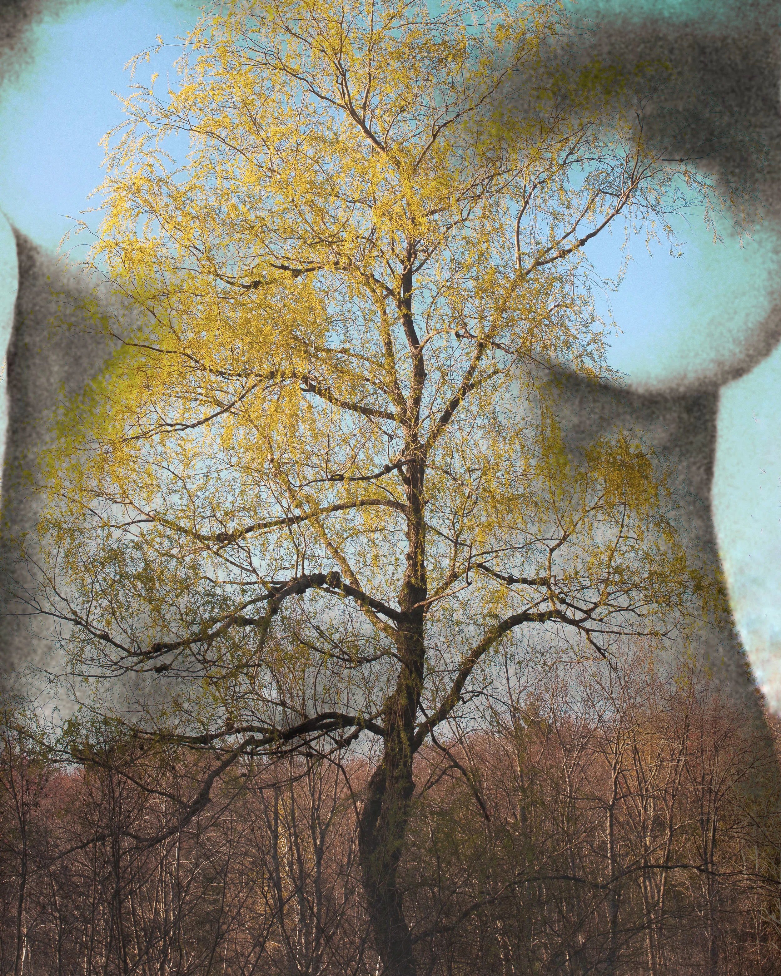 Mother Nature