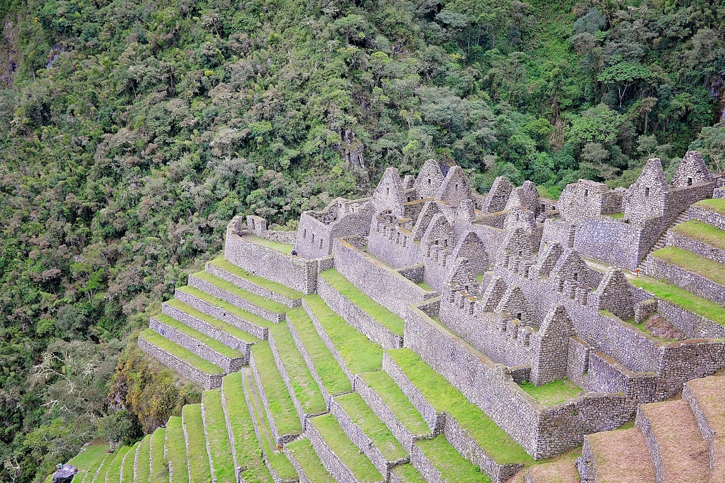 DSC_1445.jpg