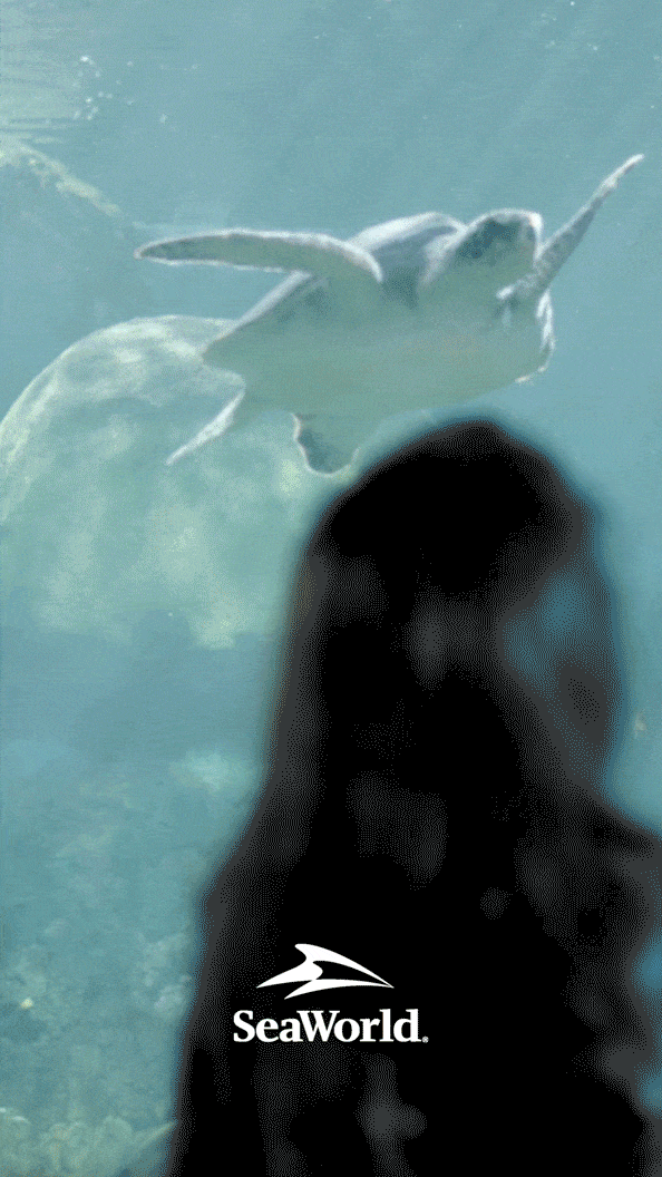 ezgif.com-optimize (4).gif